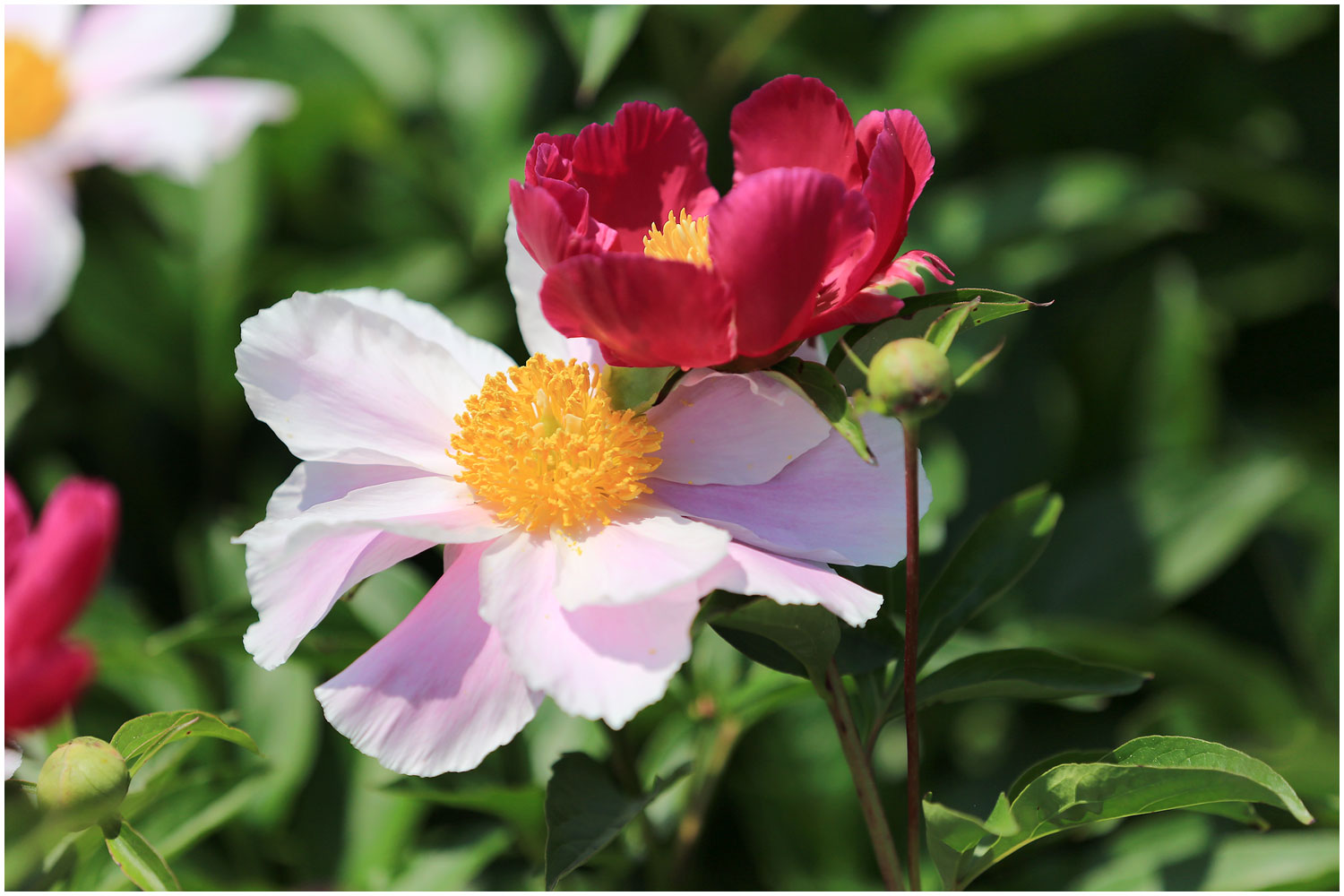   | PHOTO BY : 몰운대/조태열  |