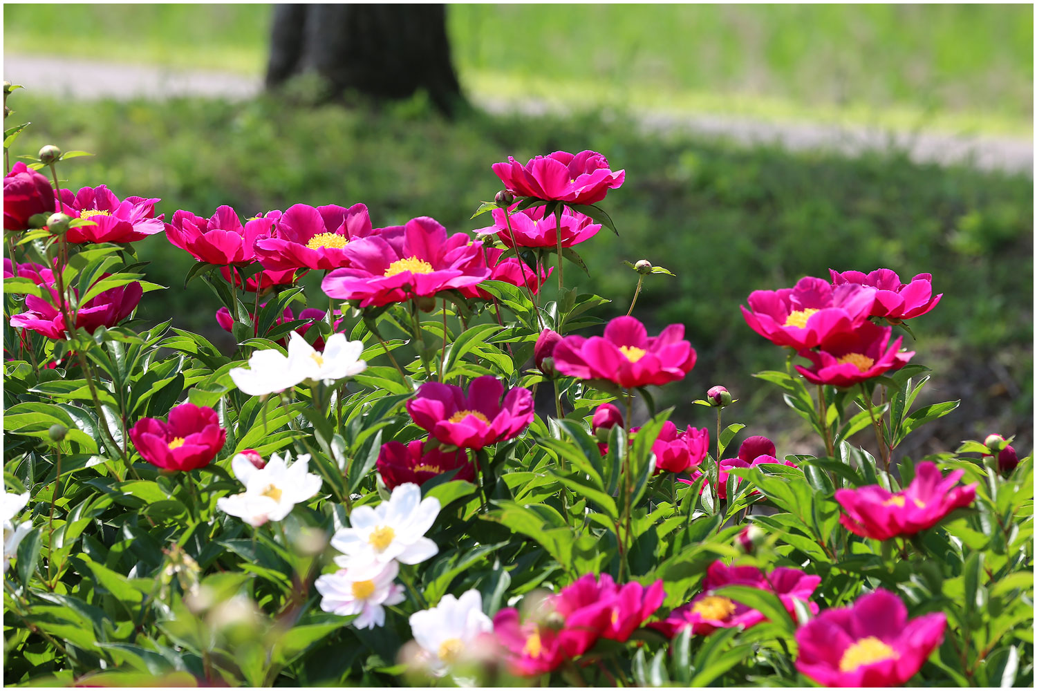   | PHOTO BY : 몰운대/조태열  |