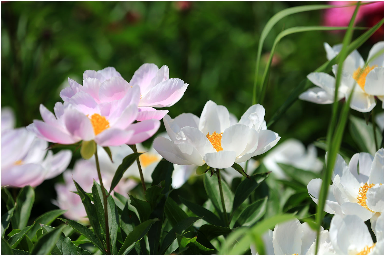   | PHOTO BY : 몰운대/조태열  |