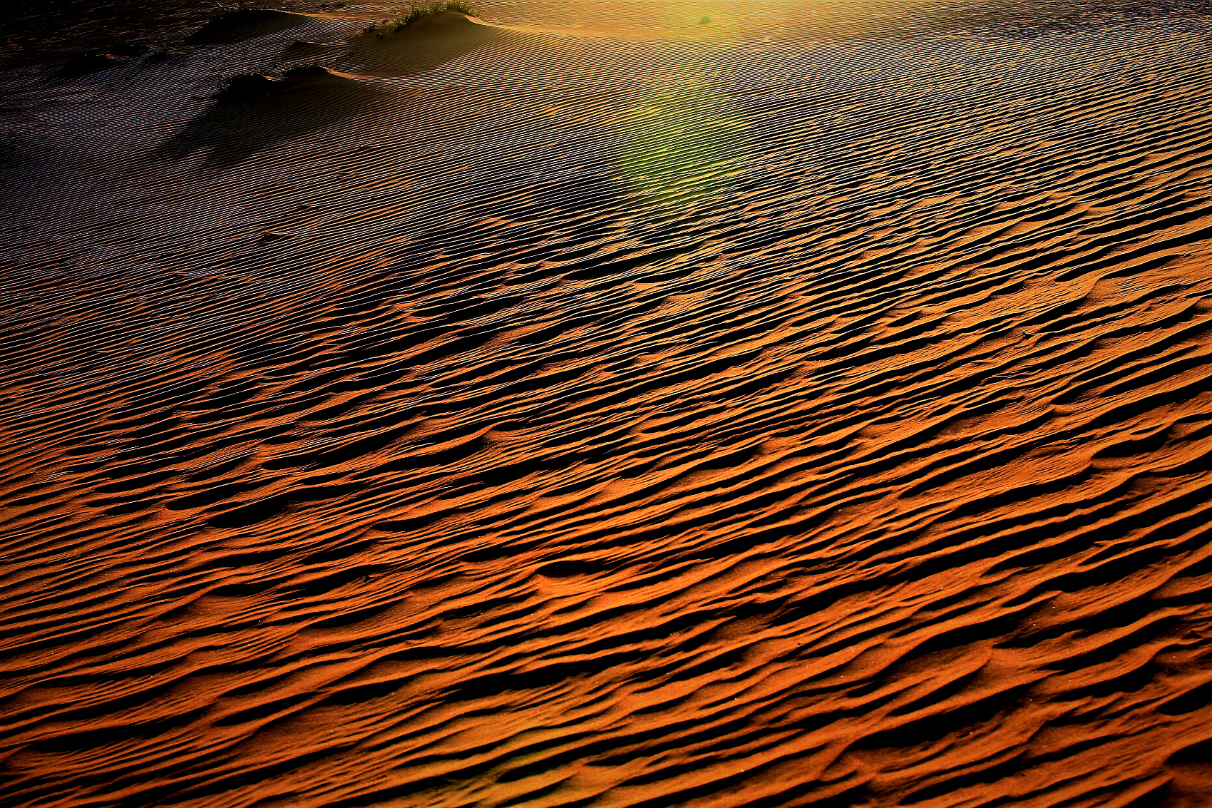 PHOTO BY  | Canon EOS 5D Mark III | 2019:11:20 07:44:55 | ISO-320 | 1/400 sec | f 8 | 70 mm | EV=0 | ● WIDTH:1700 pixels  HEIGHT:1133 pixels