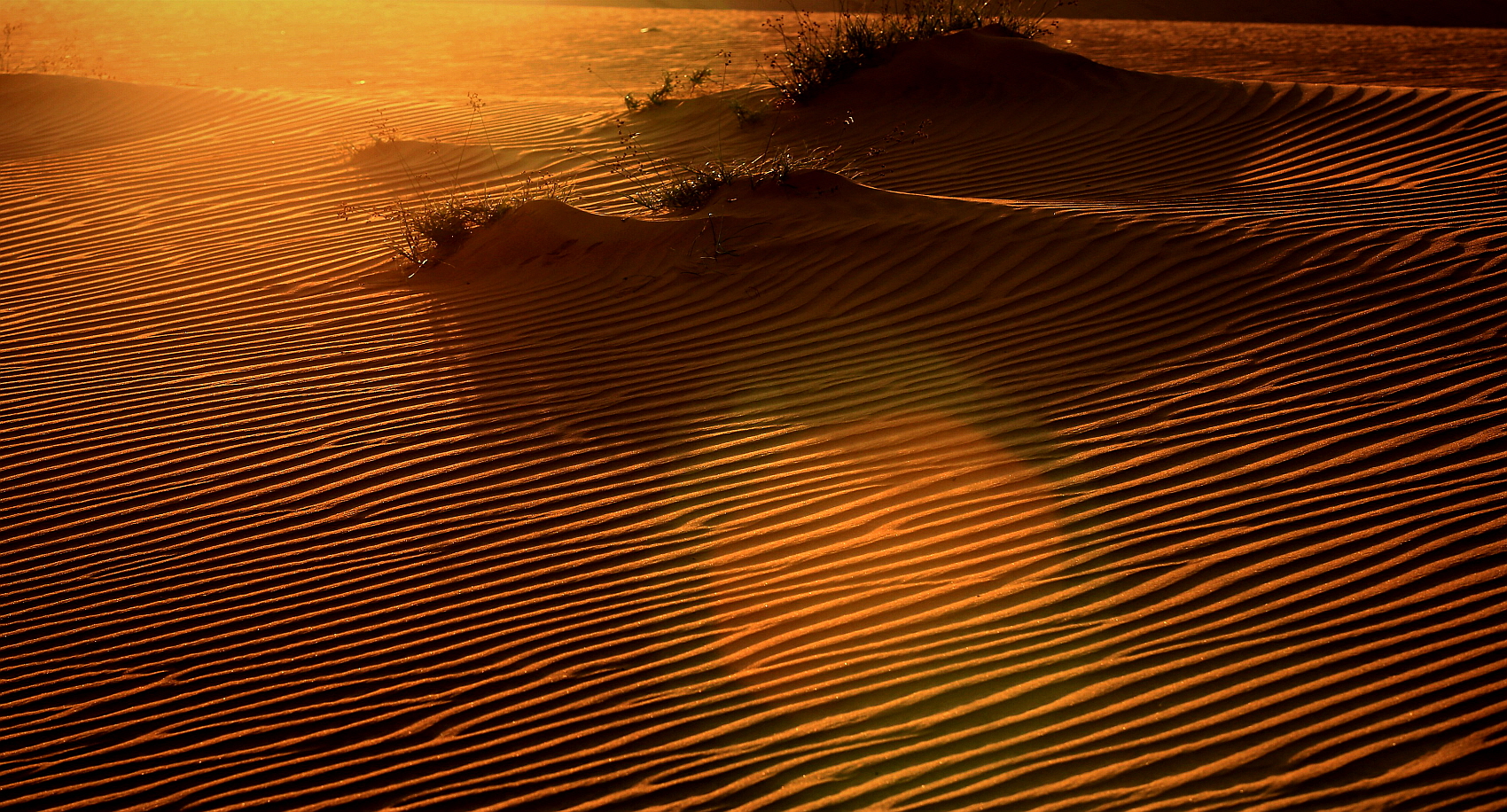 PHOTO BY  | Canon EOS 5D Mark III | 2019:11:20 07:45:29 | ISO-320 | 1/400 sec | f 8 | 125 mm | EV=0 | ● WIDTH:1700 pixels  HEIGHT:916 pixels