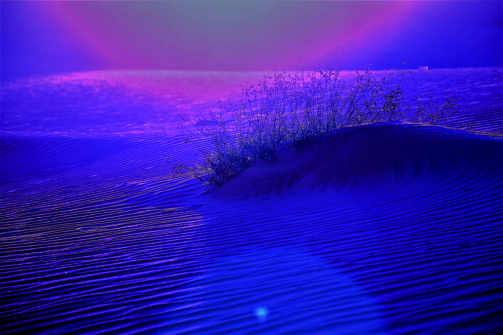 PHOTO BY  | Canon EOS 5D Mark III | 2019:11:20 07:46:32 | ISO-320 | 1/800 sec | f 8 | 200 mm | EV=0 | ● WIDTH:1700 pixels  HEIGHT:1133 pixels