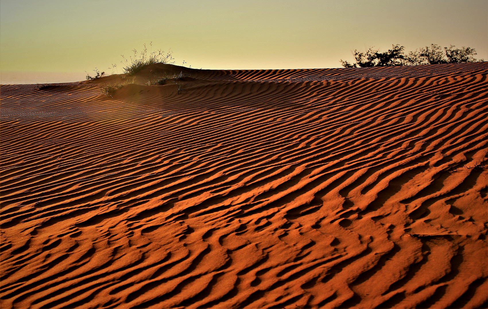 PHOTO BY  | Canon EOS 5D Mark III | 2019:11:20 07:47:57 | ISO-320 | 1/500 sec | f 8 | 70 mm | EV=0 | ● WIDTH:1700 pixels  HEIGHT:1077 pixels