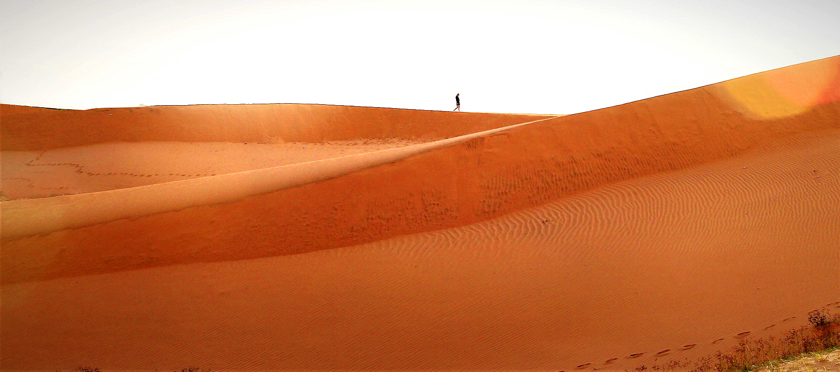 PHOTO BY  | Canon EOS 5D Mark III | 2019:11:20 07:48:38 | ISO-320 | 1/320 sec | f 8 | 70 mm | EV=0 | ● WIDTH:1700 pixels  HEIGHT:753 pixels