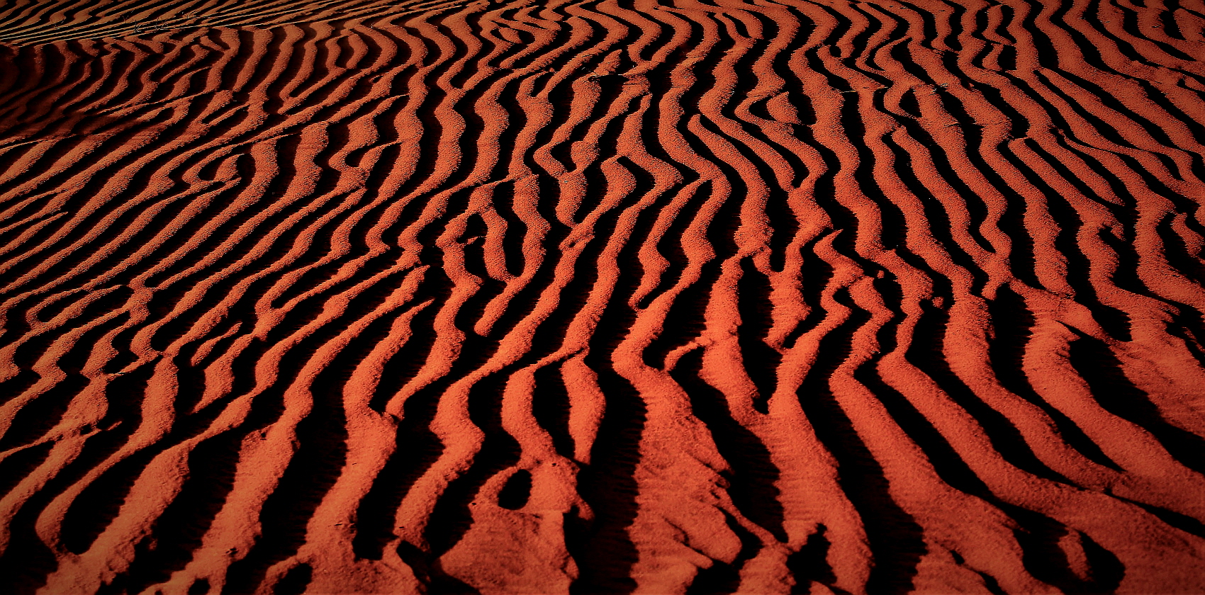 PHOTO BY  | Canon EOS 5D Mark III | 2019:11:20 07:49:04 | ISO-320 | 1/320 sec | f 8 | 70 mm | EV=0 | ● WIDTH:1700 pixels  HEIGHT:840 pixels