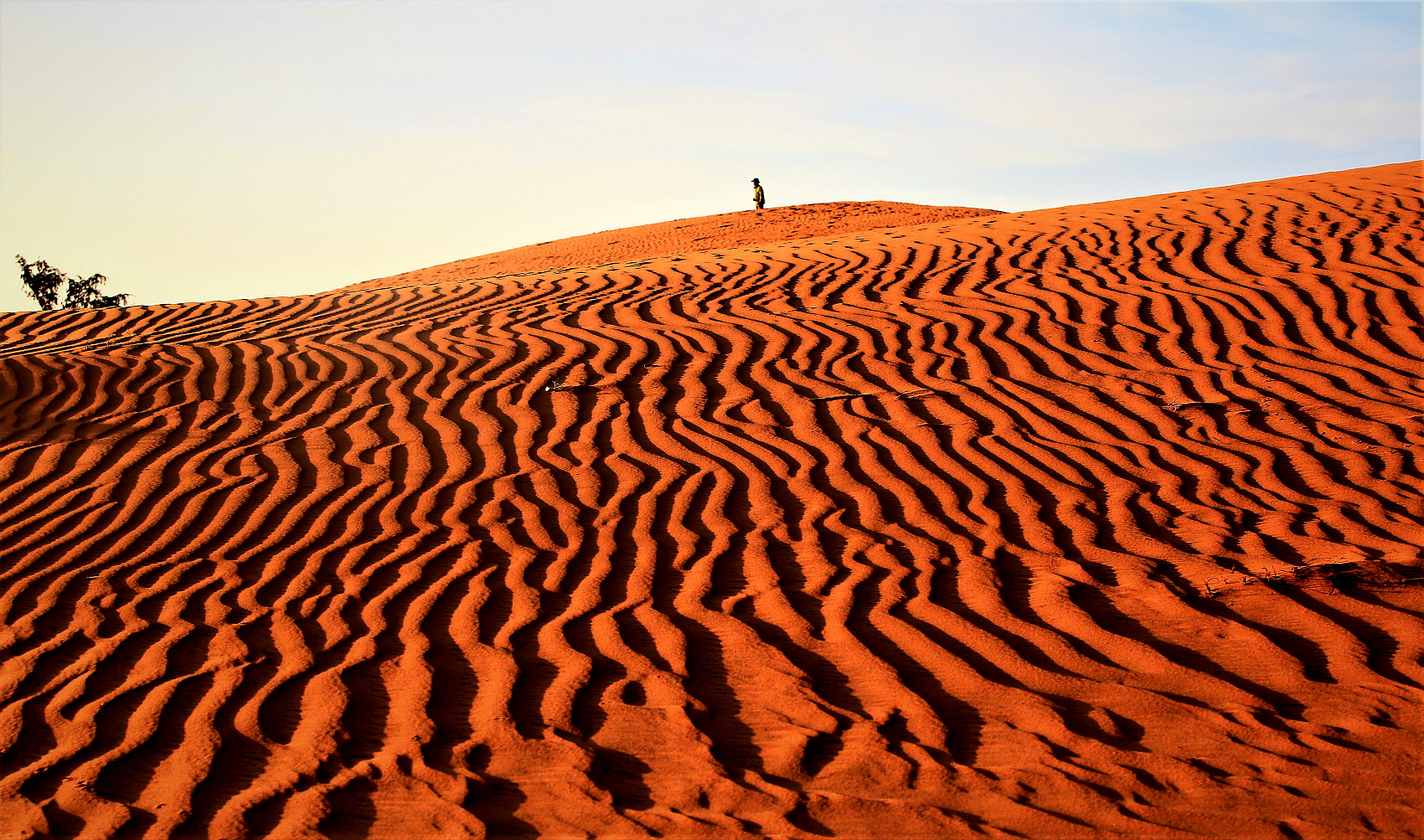 PHOTO BY  | Canon EOS 5D Mark III | 2019:11:20 07:49:25 | ISO-320 | 1/500 sec | f 8 | 70 mm | EV=0 | ● WIDTH:1700 pixels  HEIGHT:1003 pixels