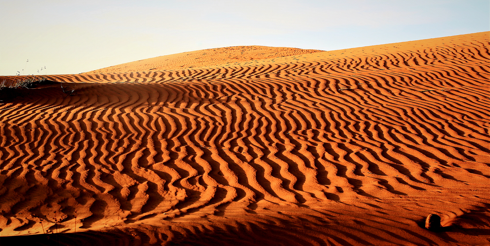 PHOTO BY  | Canon EOS 5D Mark III | 2019:11:20 07:49:59 | ISO-320 | 1/250 sec | f 8 | 70 mm | EV=0 | ● WIDTH:1700 pixels  HEIGHT:854 pixels