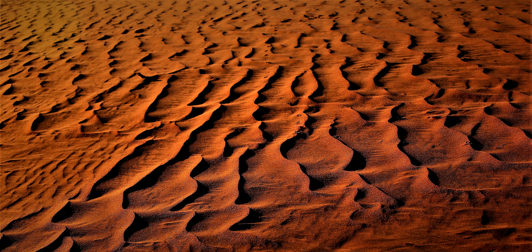 PHOTO BY  | Canon EOS 5D Mark III | 2019:11:20 07:44:07 | ISO-320 | 1/320 sec | f 8 | 70 mm | EV=0 | ● WIDTH:1700 pixels  HEIGHT:805 pixels