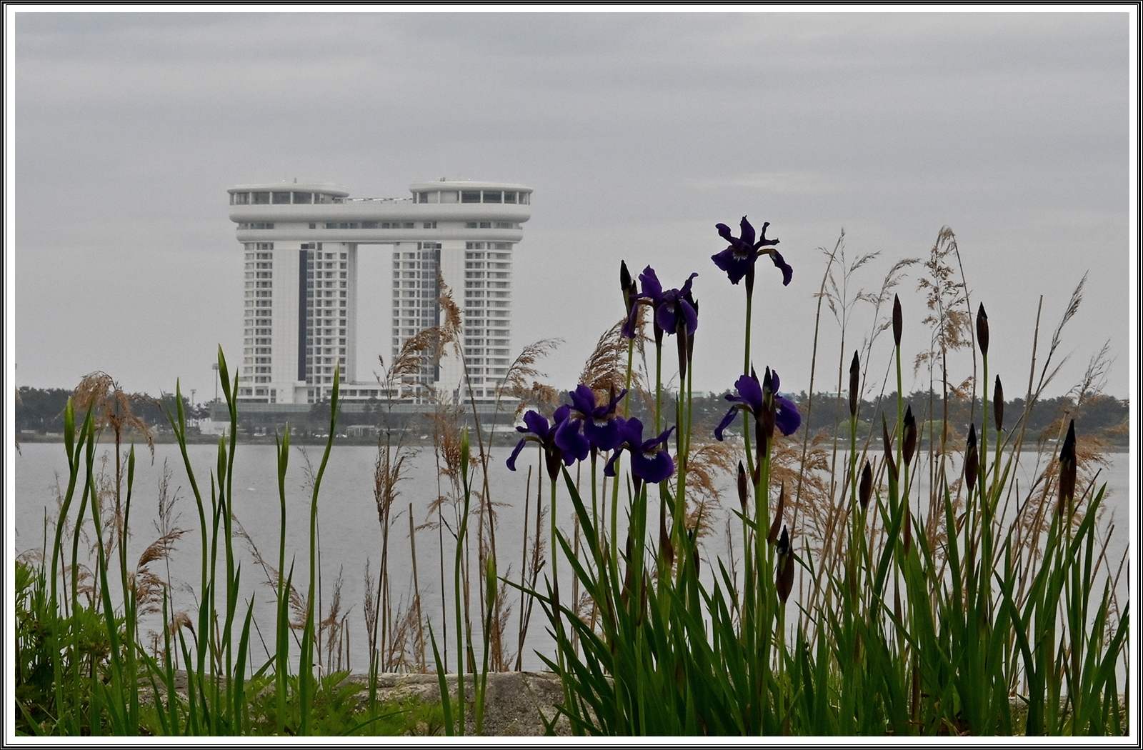 PHOTO BY  | NIKON Z 7_2 | 2024:05:04 21:04:53 | ISO-400 | 1/25 sec | f 20 | 60 mm | EV=0 | ● WIDTH:5408 pixels  HEIGHT:3600 pixels