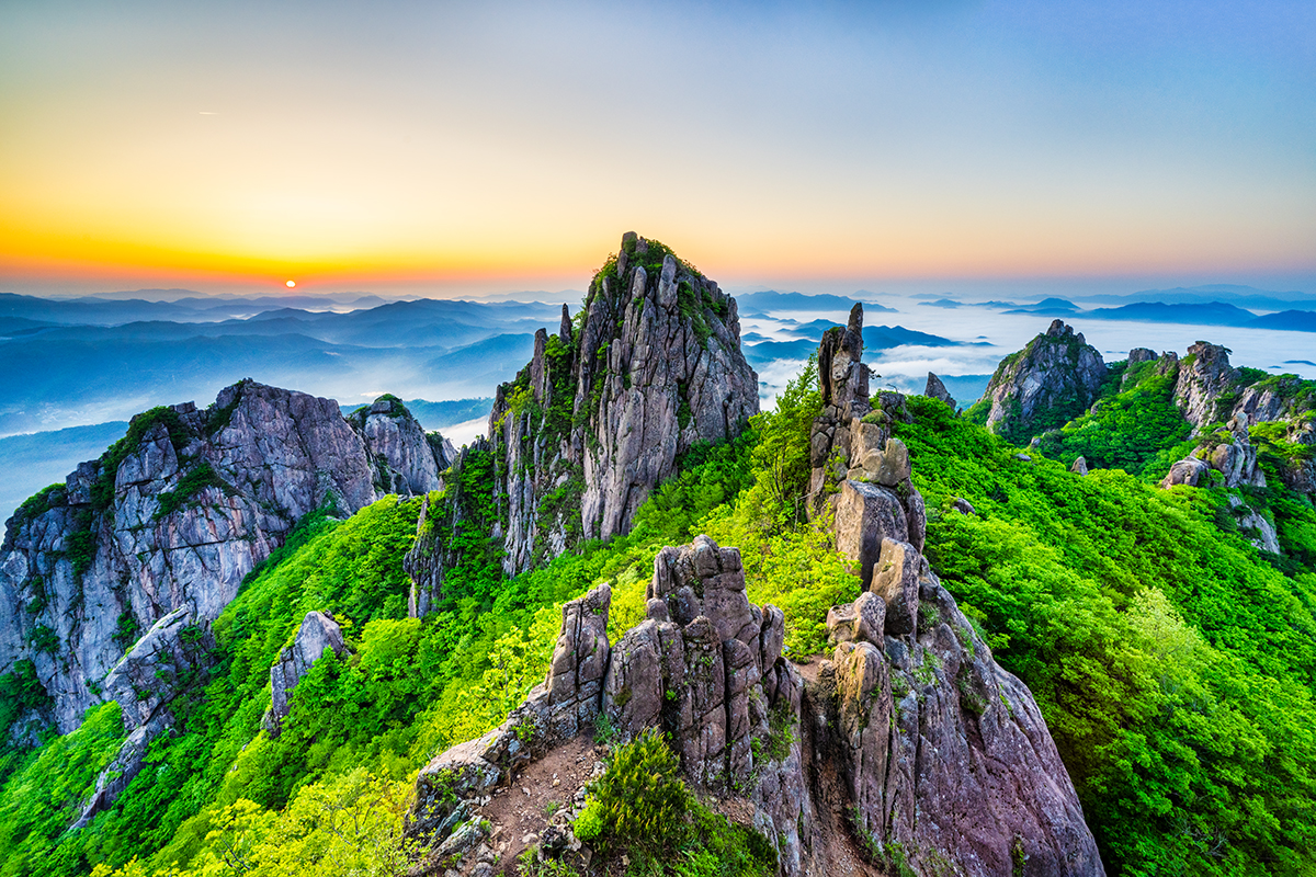 PHOTO BY  | NIKON Z 7_2 | 2024:05:09 05:34:21 | ISO-200 | 1/8 sec | f 11 | 15.5 mm | EV=-1 | ● WIDTH:1200 pixels  HEIGHT:800 pixels