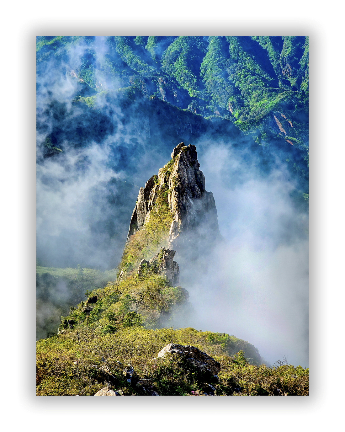   | PHOTO BY : 운광/박승우  |