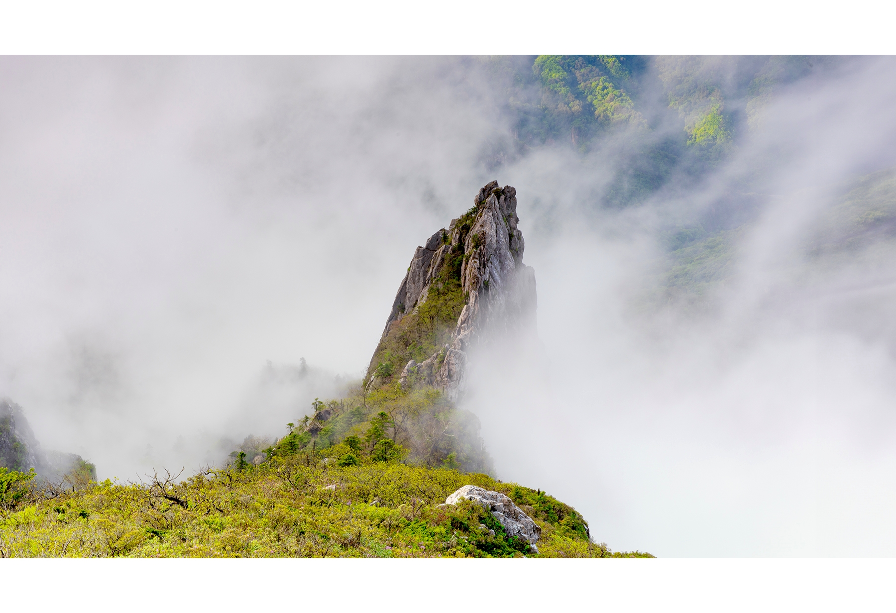   | PHOTO BY : 운광/박승우  |