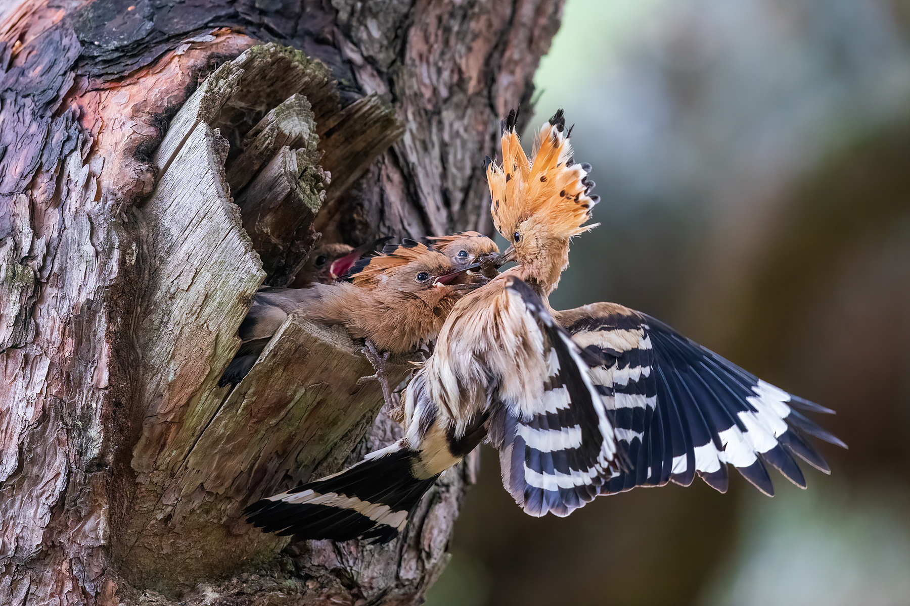   | PHOTO BY : 조현래  |