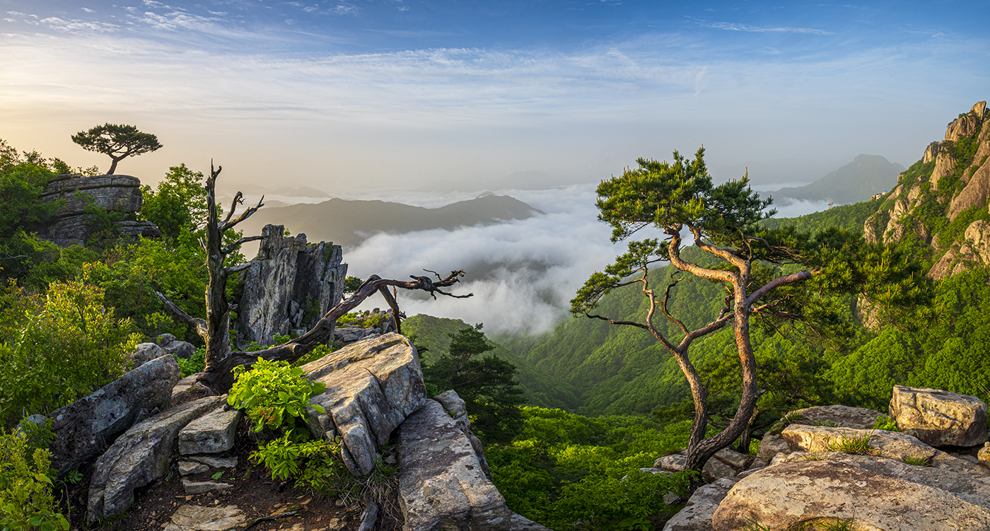 PHOTO BY  | NIKON D850 | 2024:05:12 06:09:49 | ISO-100 | 1/60 sec | f 16 | 17 mm | EV=-1 | ● WIDTH:1400 pixels  HEIGHT:751 pixels