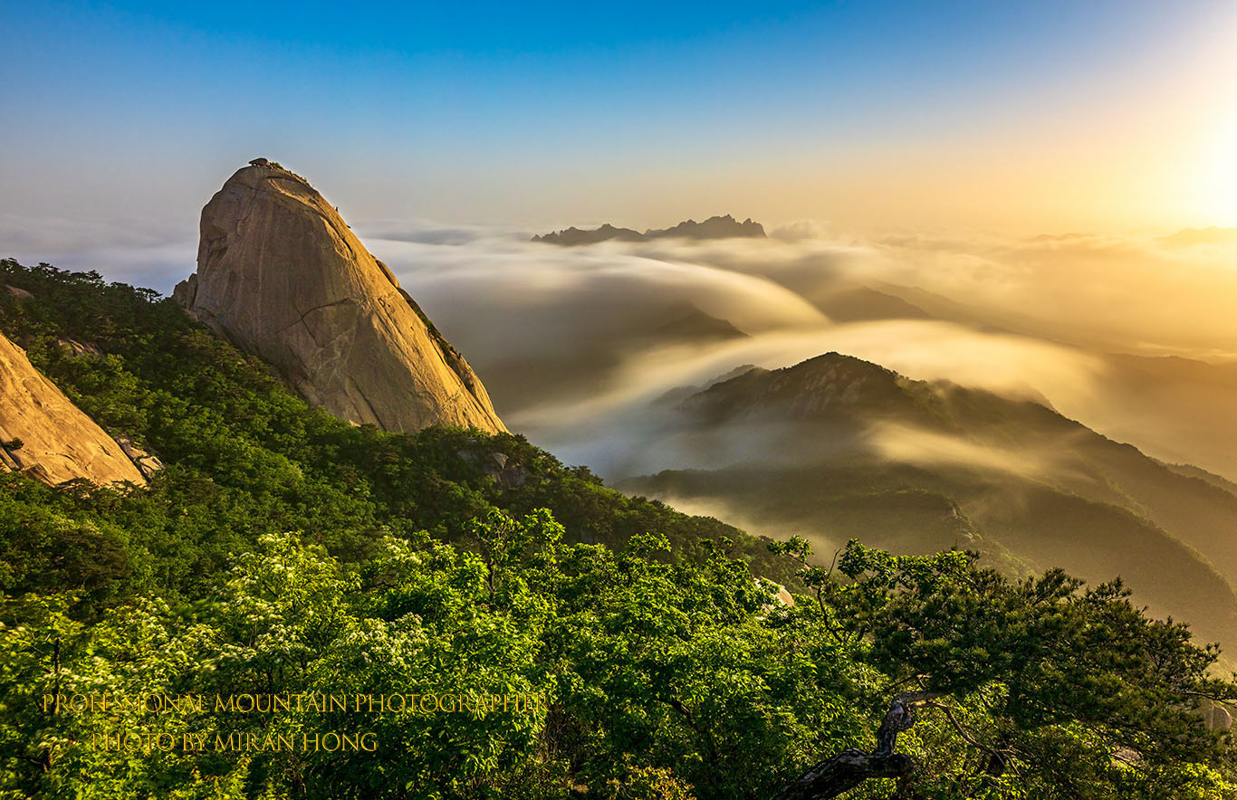 PHOTO BY HONG_MI_RAN | NIKON Z 8 | 2023:05:12 06:14:25 | ISO-200 | 30/1 sec | f 9 | 23 mm | EV=0 | ● WIDTH:1366 pixels  HEIGHT:884 pixels