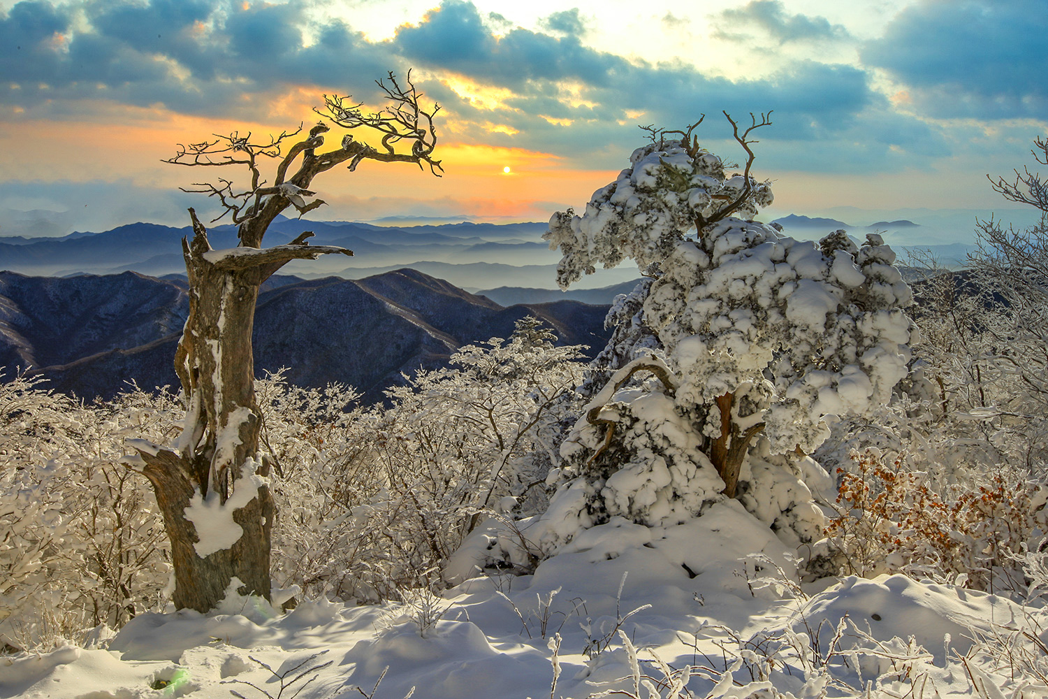 PHOTO BY  | CanonCanon  |  | ISO- |  |  |  | EV=0 | ● WIDTH:  HEIGHT: