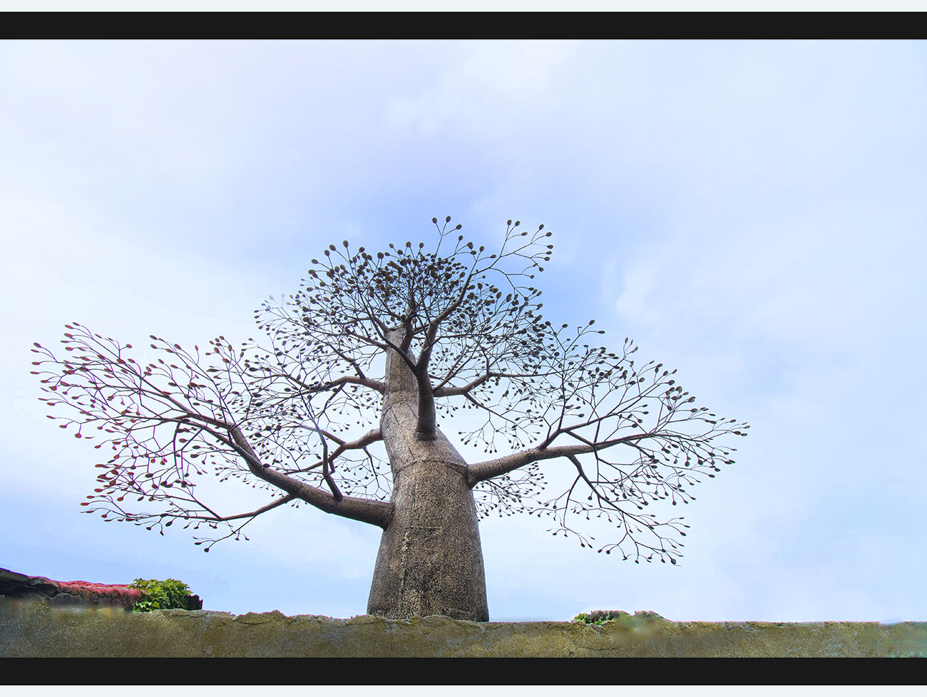 PHOTO BY SEHUI_OK | NIKON D500 | 2024:05:11 14:20:11 | ISO-100 | 1/320 sec | f 11 | 10 mm | EV=0.3 | ● WIDTH:1300 pixels  HEIGHT:978 pixels