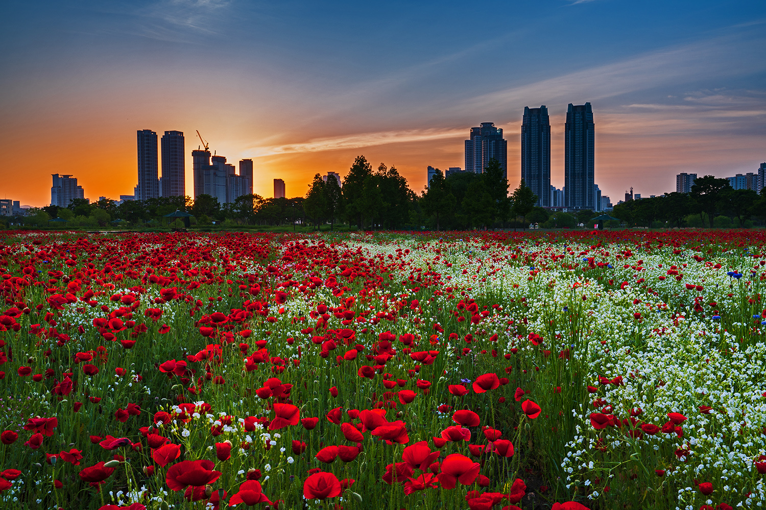 PHOTO BY  | NIKON Z 6_2 | 2024:05:13 05:34:39 | ISO-200 | 1/20 sec | f 16 | 33 mm | EV=-0.3 | ● WIDTH:1500 pixels  HEIGHT:998 pixels