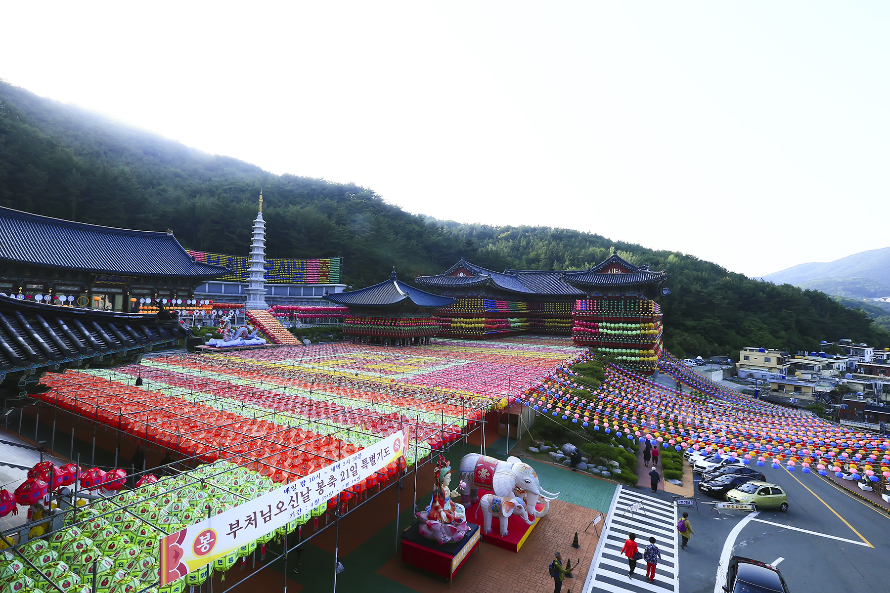 PHOTO BY HNalim | Canon EOS 7D Mark II | 2024:05:10 10:18:12 | ISO-1000 | 1/500 sec | f 18 | 275 mm | EV=0 | ● WIDTH:1800 pixels  HEIGHT:1200 pixels