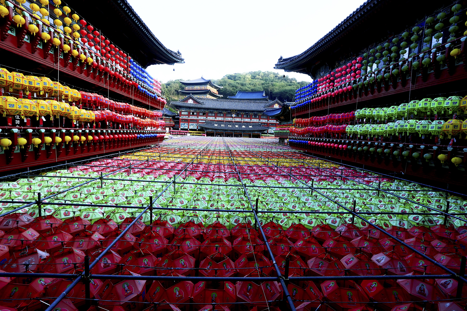 PHOTO BY HNalim | Canon EOS 7D Mark II | 2024:05:10 10:18:12 | ISO-1000 | 1/500 sec | f 18 | 275 mm | EV=0 | ● WIDTH:1800 pixels  HEIGHT:1200 pixels