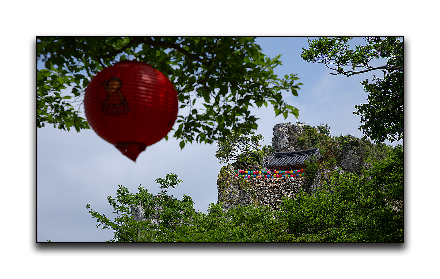 PHOTO BY  | Canon EOS 5D Mark IV | 2024:05:06 12:44:45 | ISO-100 | 1/400 sec | f 7.1 | 57 mm | EV=0 | ● WIDTH:1436 pixels  HEIGHT:911 pixels