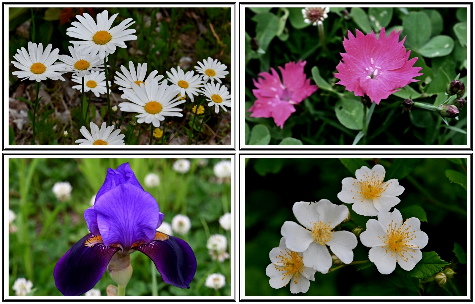   | PHOTO BY : 청산이종원  |