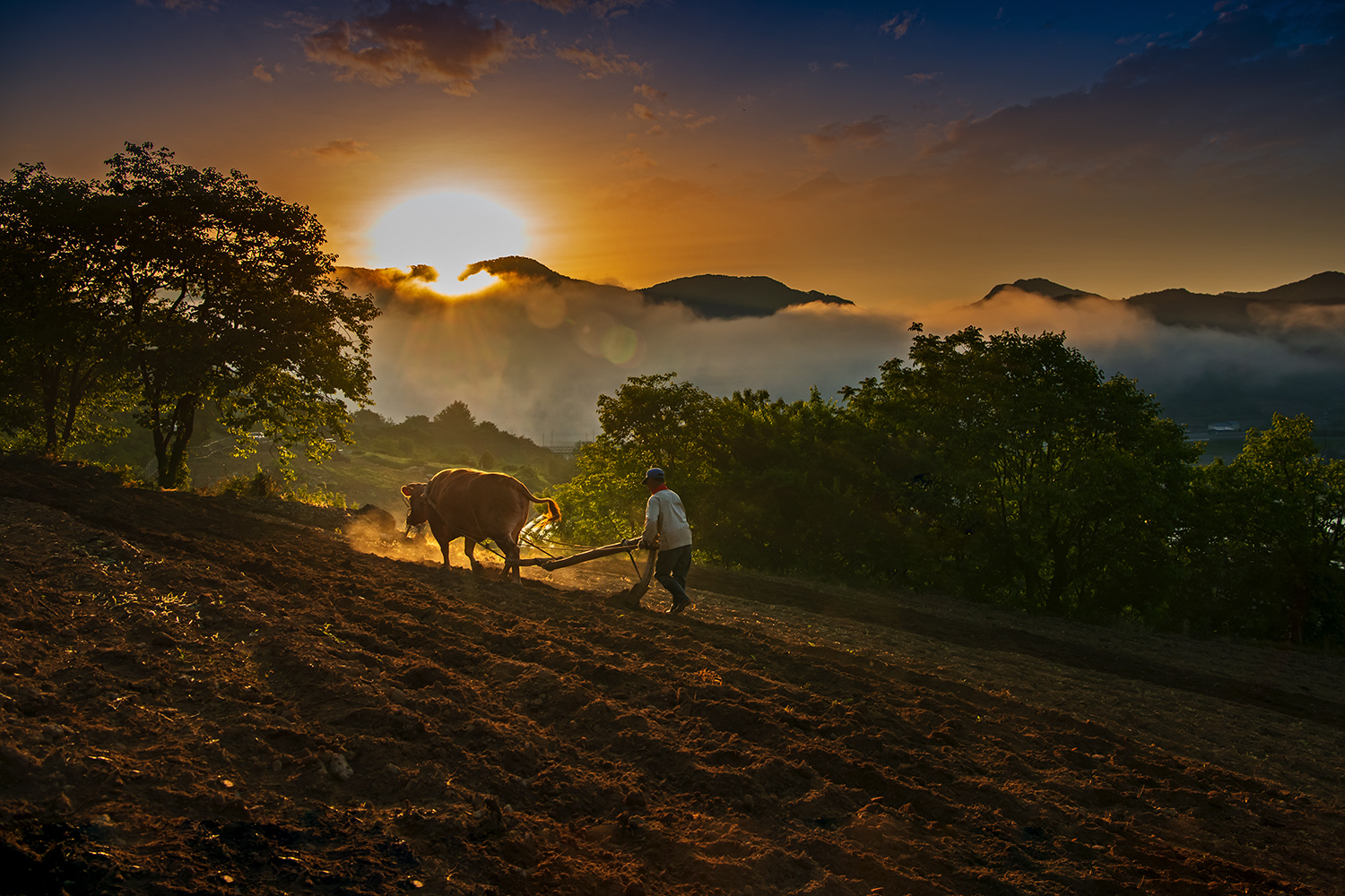 PHOTO BY  | NIKON D850 | 2024:05:15 05:57:52 | ISO-250 | 1/800 sec | f 7.1 | 27 mm | EV=-0.7 | ● WIDTH:1500 pixels  HEIGHT:1000 pixels