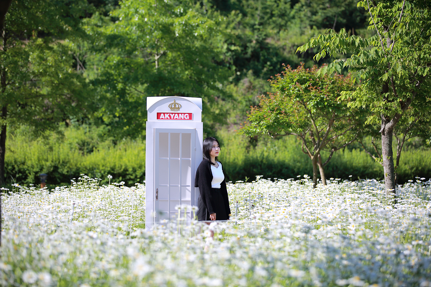 PHOTO BY  | Canon EOS 5D Mark III | 2024:05:14 08:29:20 | ISO-100 | 1/1250 sec | f 2.8 | 115 mm | EV=0 | ● WIDTH:1500 pixels  HEIGHT:1000 pixels