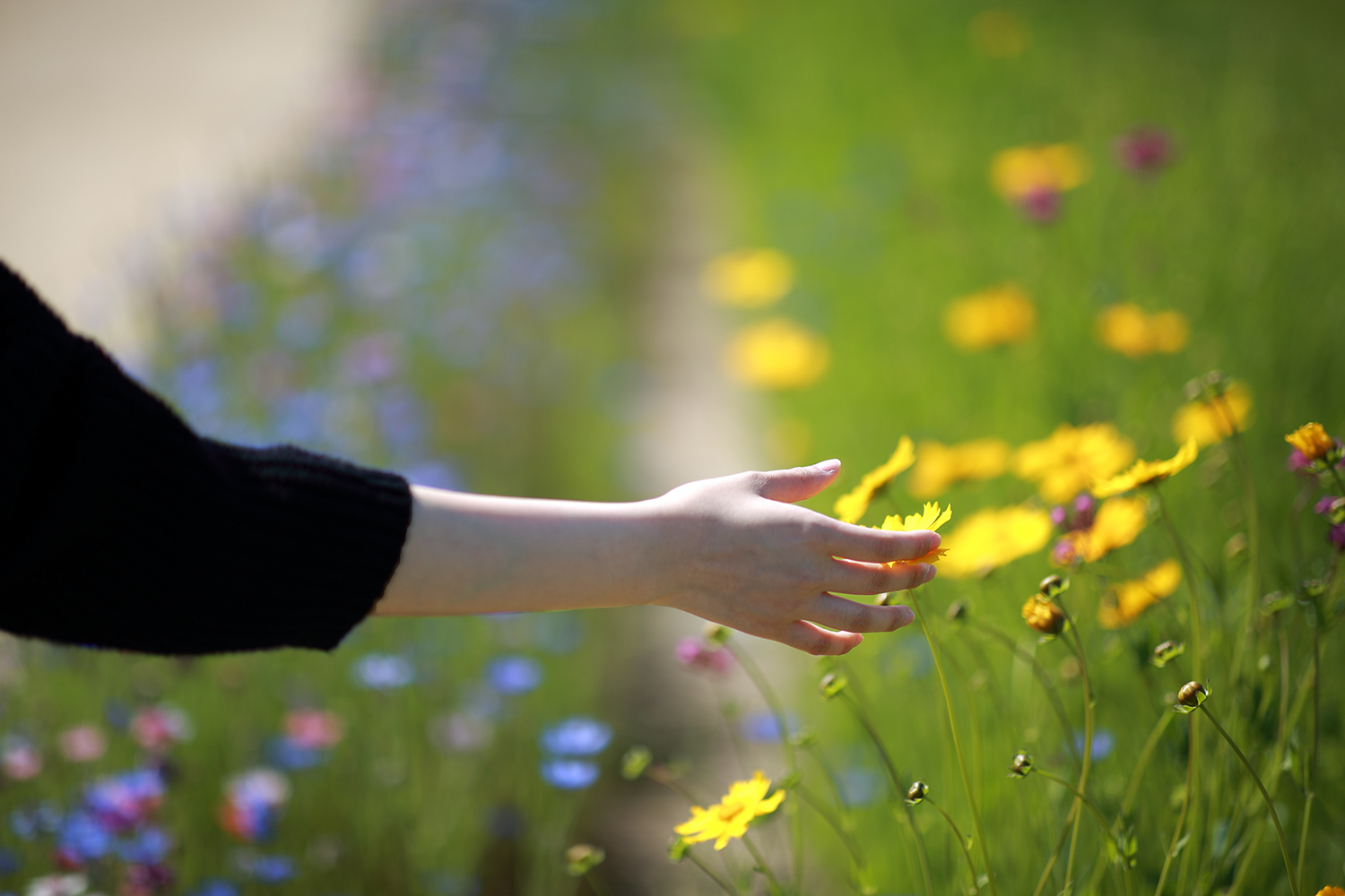 PHOTO BY  | Canon EOS 5D Mark III | 2024:05:14 09:19:13 | ISO-50 | 1/3200 sec | f 1.4 | 85 mm | EV=0 | ● WIDTH:1500 pixels  HEIGHT:1000 pixels