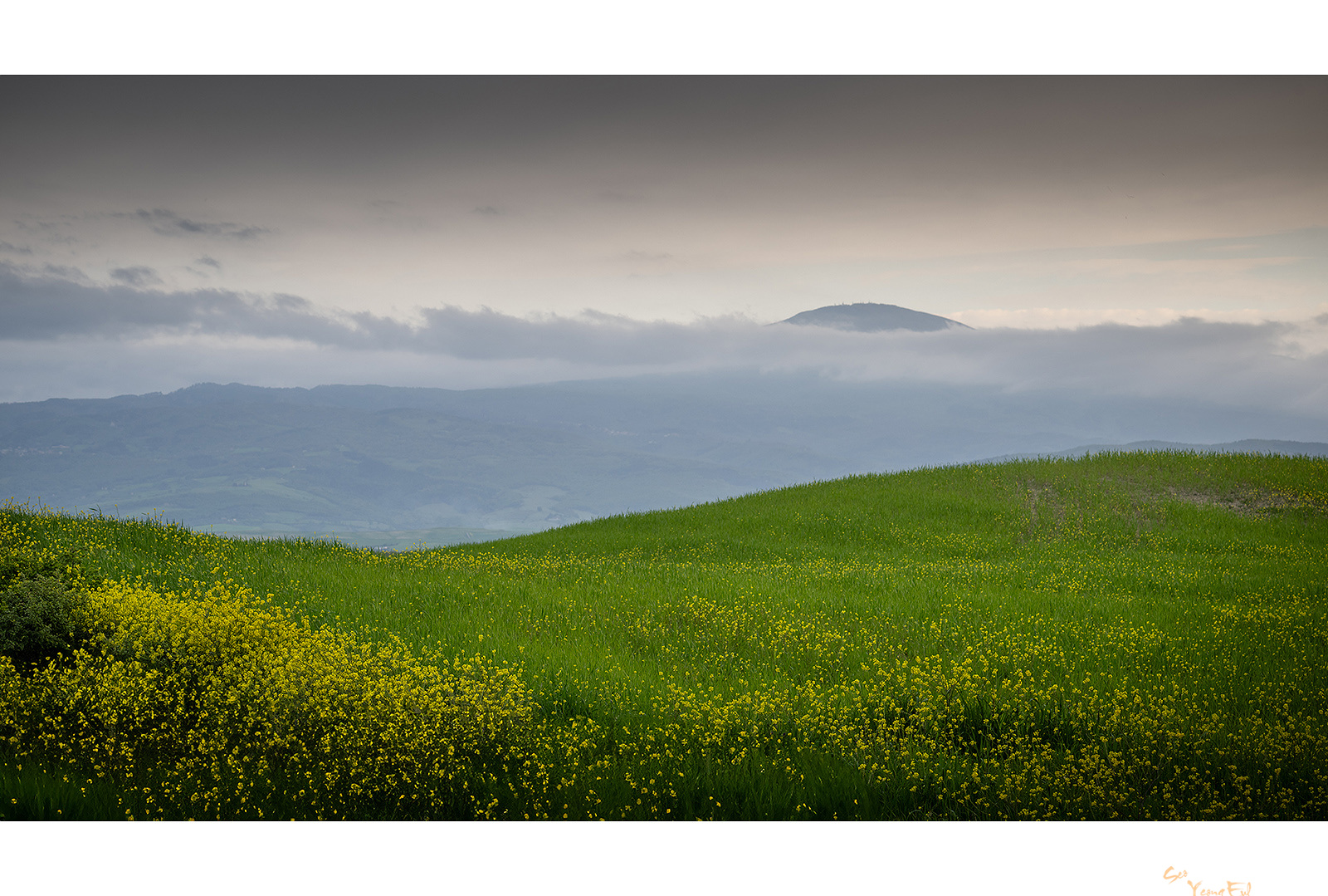 PHOTO BY  | NIKON Z 9 | 2023:04:30 02:14:11 | ISO-100 | 1/30 sec | f 8 | 100 mm | EV=-0.3 | ● WIDTH:1600 pixels  HEIGHT:1079 pixels