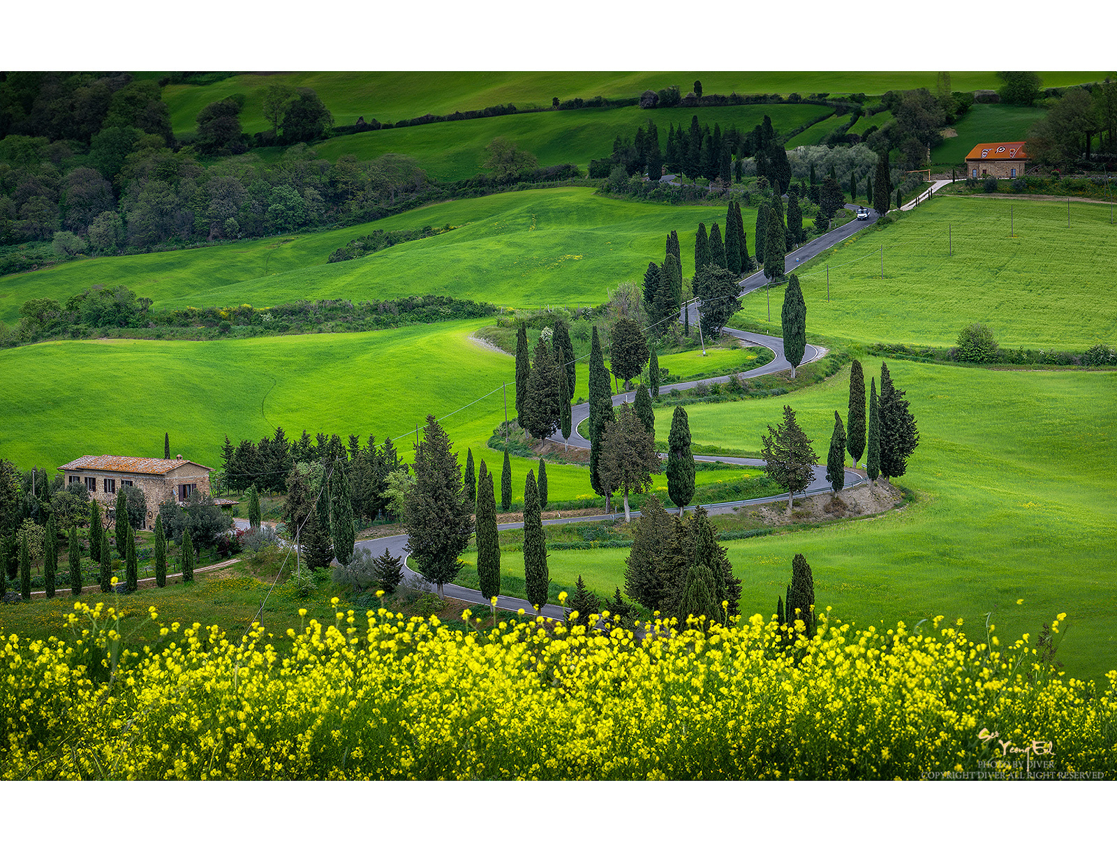 PHOTO BY  | NIKON Z 9 | 2023:04:29 18:47:18 | ISO-100 | 1/60 sec | f 11 | 100 mm | EV=-0.3 | ● WIDTH:1600 pixels  HEIGHT:1221 pixels