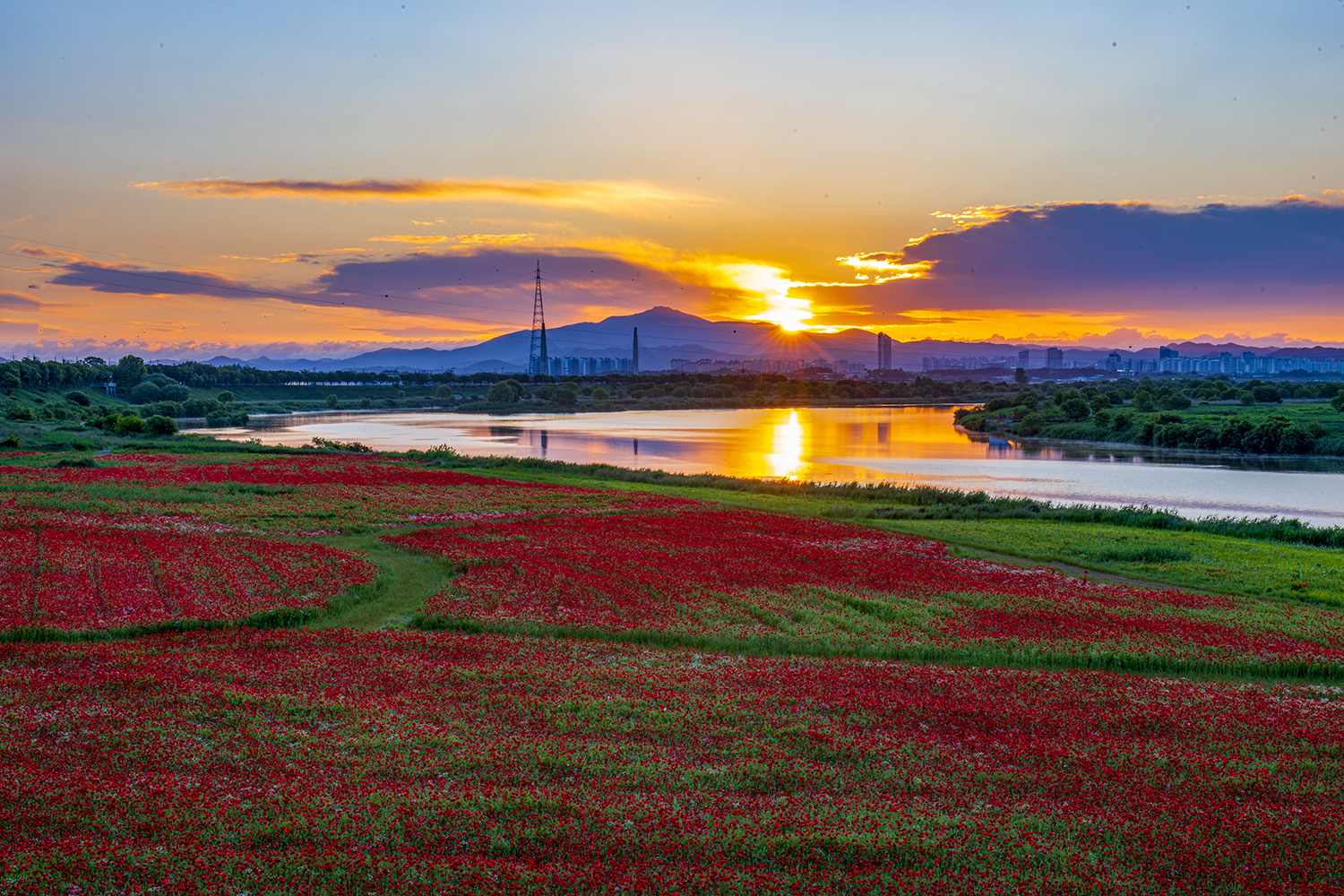 PHOTO BY  | NIKON D850 | 2024:05:16 05:34:16 | ISO-31 | 1/3 sec | f 22 | 56 mm | EV=0 | ● WIDTH:1500 pixels  HEIGHT:1000 pixels