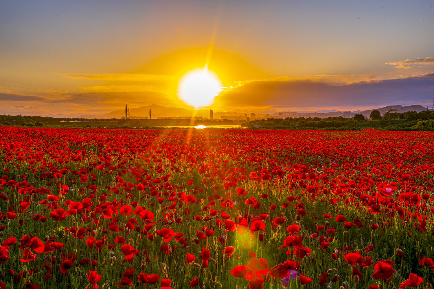 PHOTO BY  | NIKON D850 | 2024:05:16 05:45:51 | ISO-31 | 1/15 sec | f 22 | 44 mm | EV=0 | ● WIDTH:1500 pixels  HEIGHT:1000 pixels