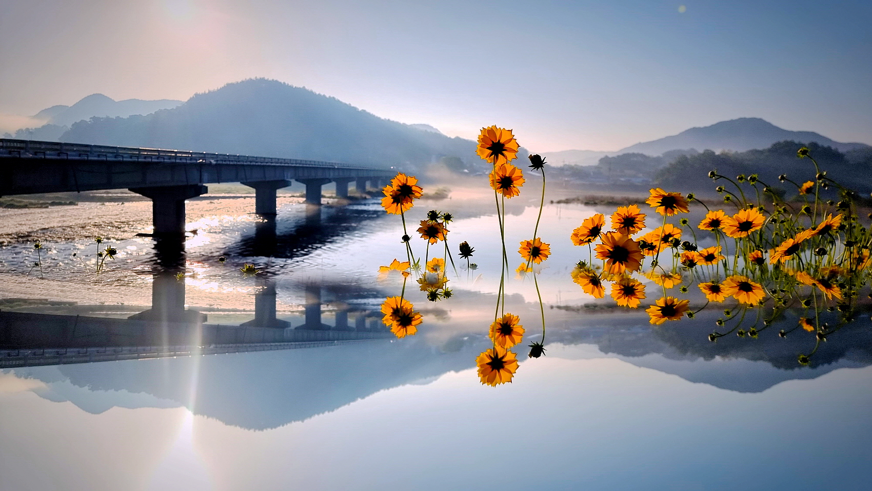 PHOTO BY  | SM-G998N | 2024:05:15 06:32:01 | ISO-50 |  |  |  | EV=0 | ● WIDTH:1700 pixels  HEIGHT:957 pixels