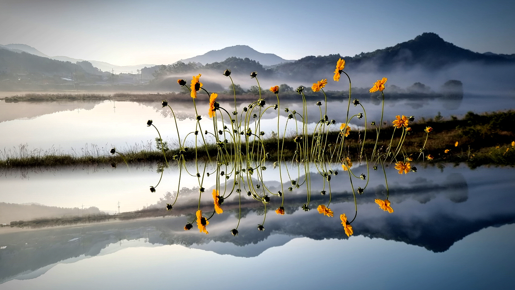 PHOTO BY  | SM-G998N | 2024:05:15 06:34:58 | ISO-50 |  |  |  | EV=0 | ● WIDTH:1700 pixels  HEIGHT:957 pixels