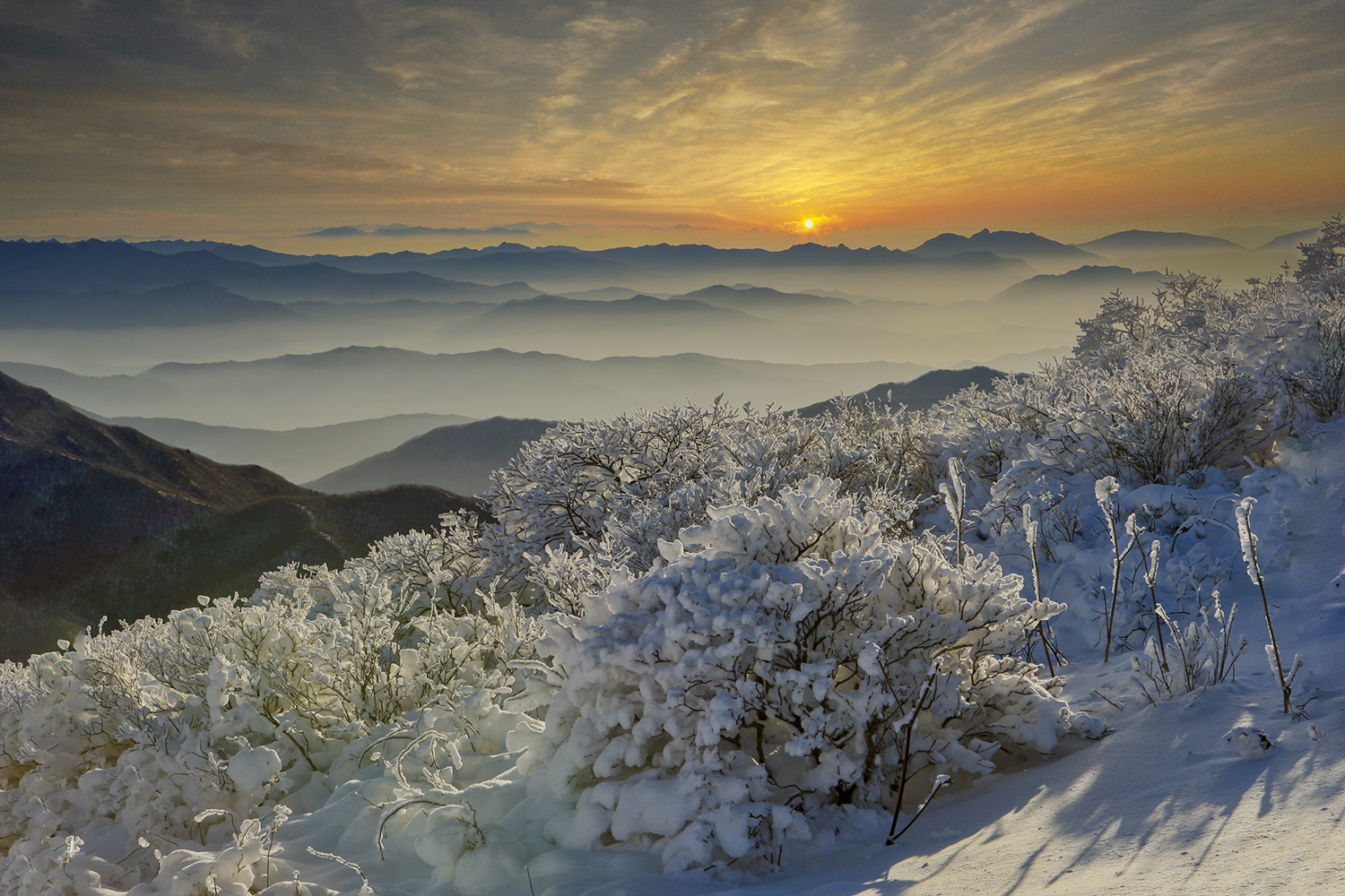 PHOTO BY  | CanonCanon  |  | ISO- |  |  |  | EV=0 | ● WIDTH:  HEIGHT: