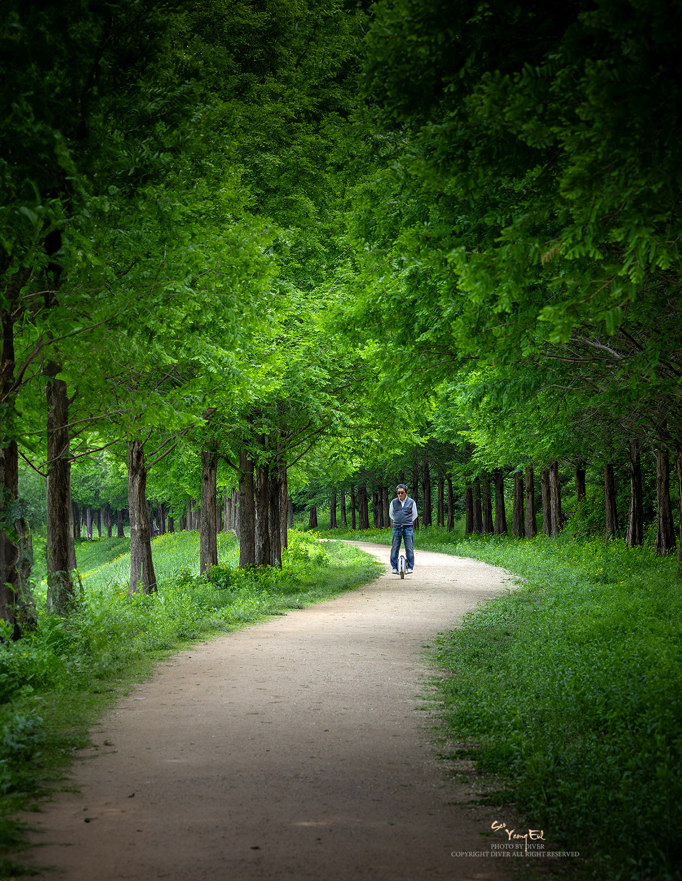 PHOTO BY  | Canon EOS R5 | 2024:05:11 11:15:15 | ISO-100 | 1/30 sec | f 11 | 143 mm | EV=0 | ● WIDTH:1393 pixels  HEIGHT:1800 pixels