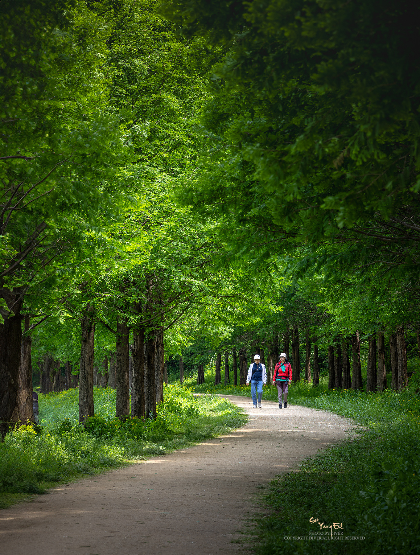 PHOTO BY  | Canon EOS R5 | 2024:05:11 11:13:40 | ISO-100 | 1/30 sec | f 11 | 200 mm | EV=0 | ● WIDTH:1362 pixels  HEIGHT:1800 pixels