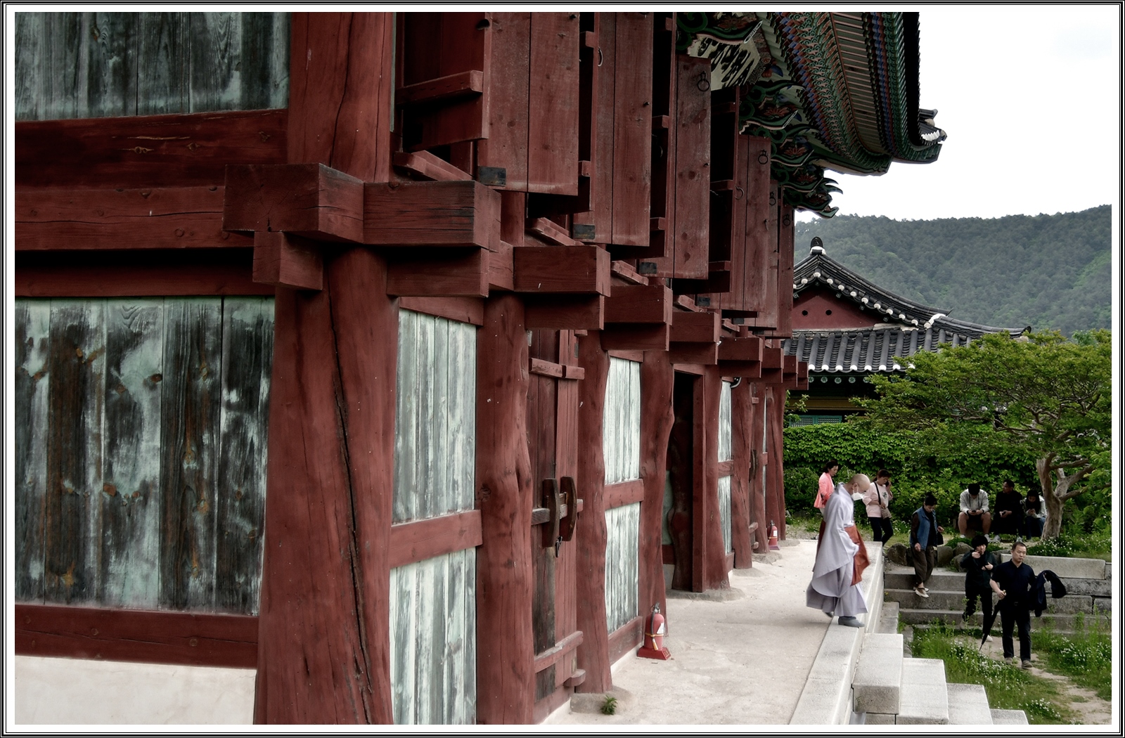 PHOTO BY  | NIKON D500 | 2024:05:15 10:47:02 | ISO-200 | 1/90 sec | f 3.5 | 24 mm | EV=1 | ● WIDTH:5568 pixels  HEIGHT:3712 pixels