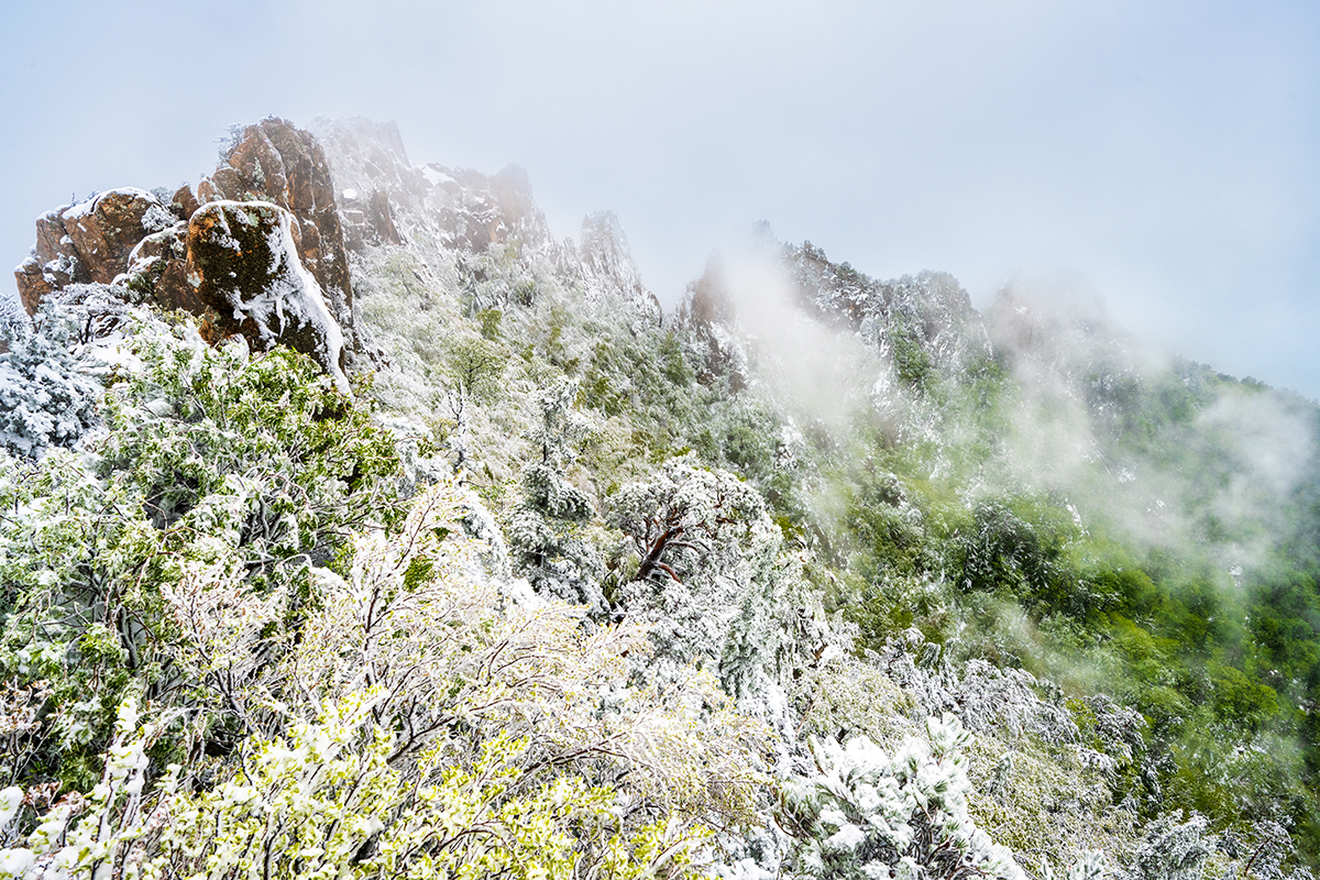 PHOTO BY  | NIKON Z 7_2 | 2024:05:16 08:09:16 | ISO-200 | 1/100 sec | f 11 | 20.5 mm | EV=0 | ● WIDTH:1200 pixels  HEIGHT:800 pixels