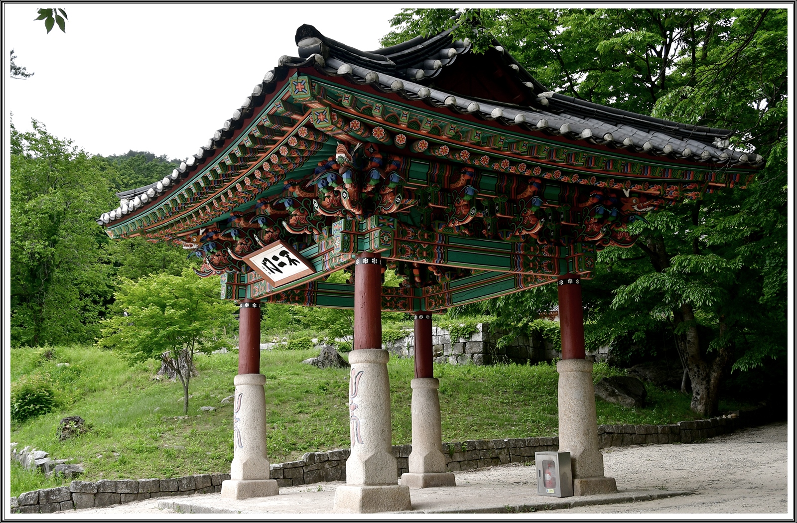 PHOTO BY  | NIKON D500 | 2024:05:15 10:23:59 | ISO-200 | 1/20 sec | f 8 | 24 mm | EV=0.5 | ● WIDTH:5568 pixels  HEIGHT:3712 pixels