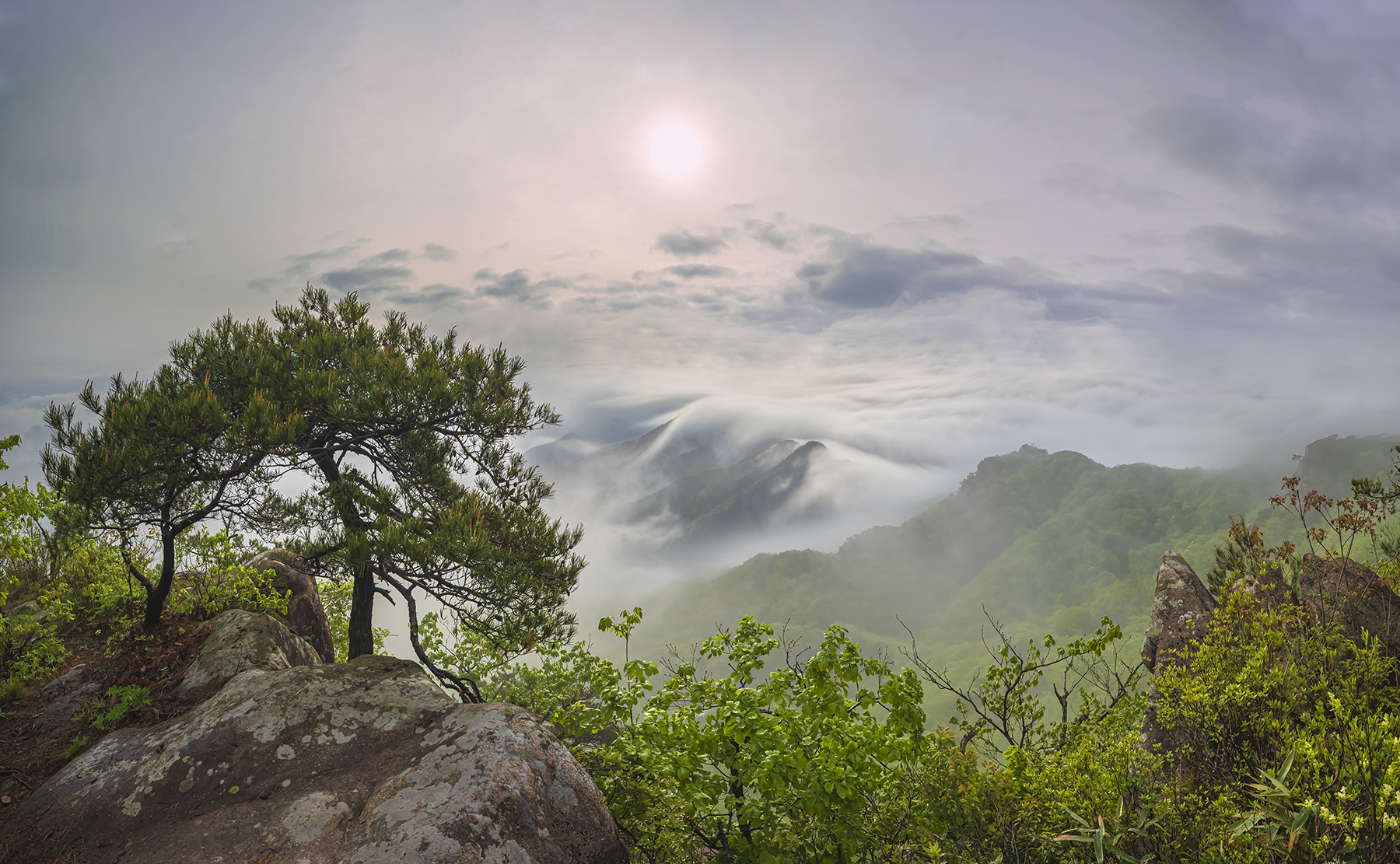 PHOTO BY  | NIKON Z 7_2 | 2023:05:30 06:56:07 | ISO-50 | 30/1 sec | f 16 | 35 mm | EV=0 | ● WIDTH:1800 pixels  HEIGHT:1111 pixels