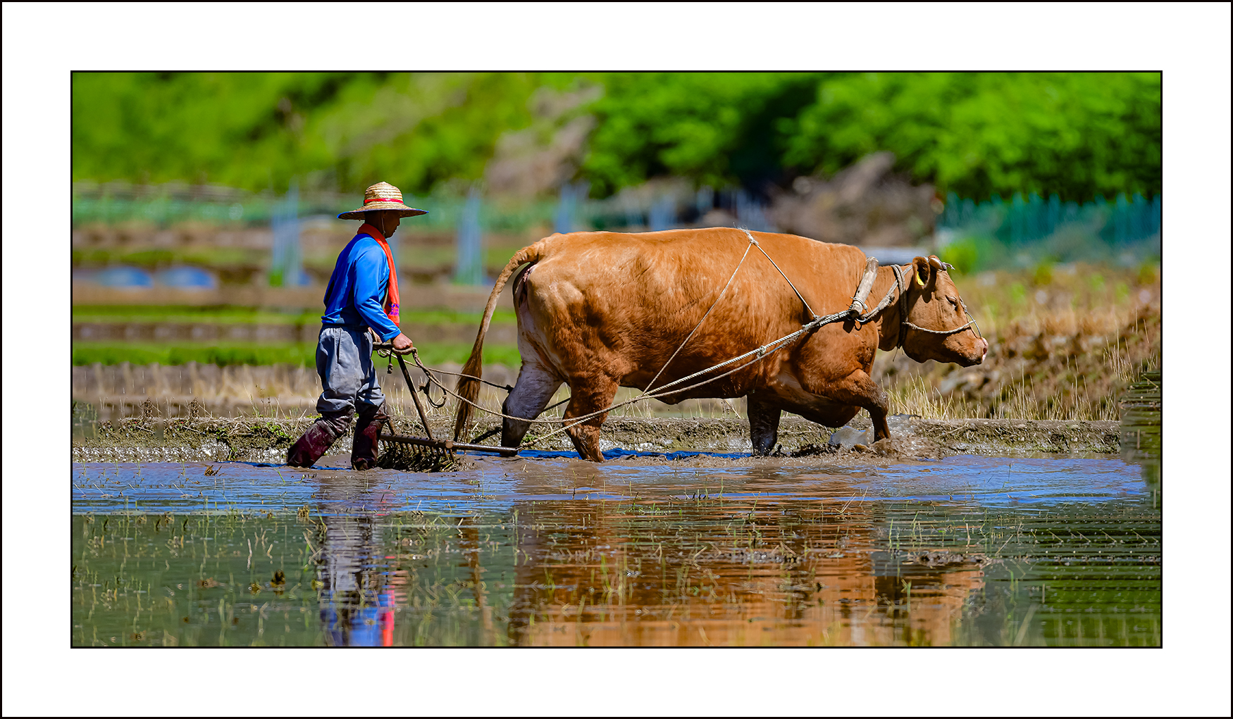   | PHOTO BY : 삿갓/정봉식  |