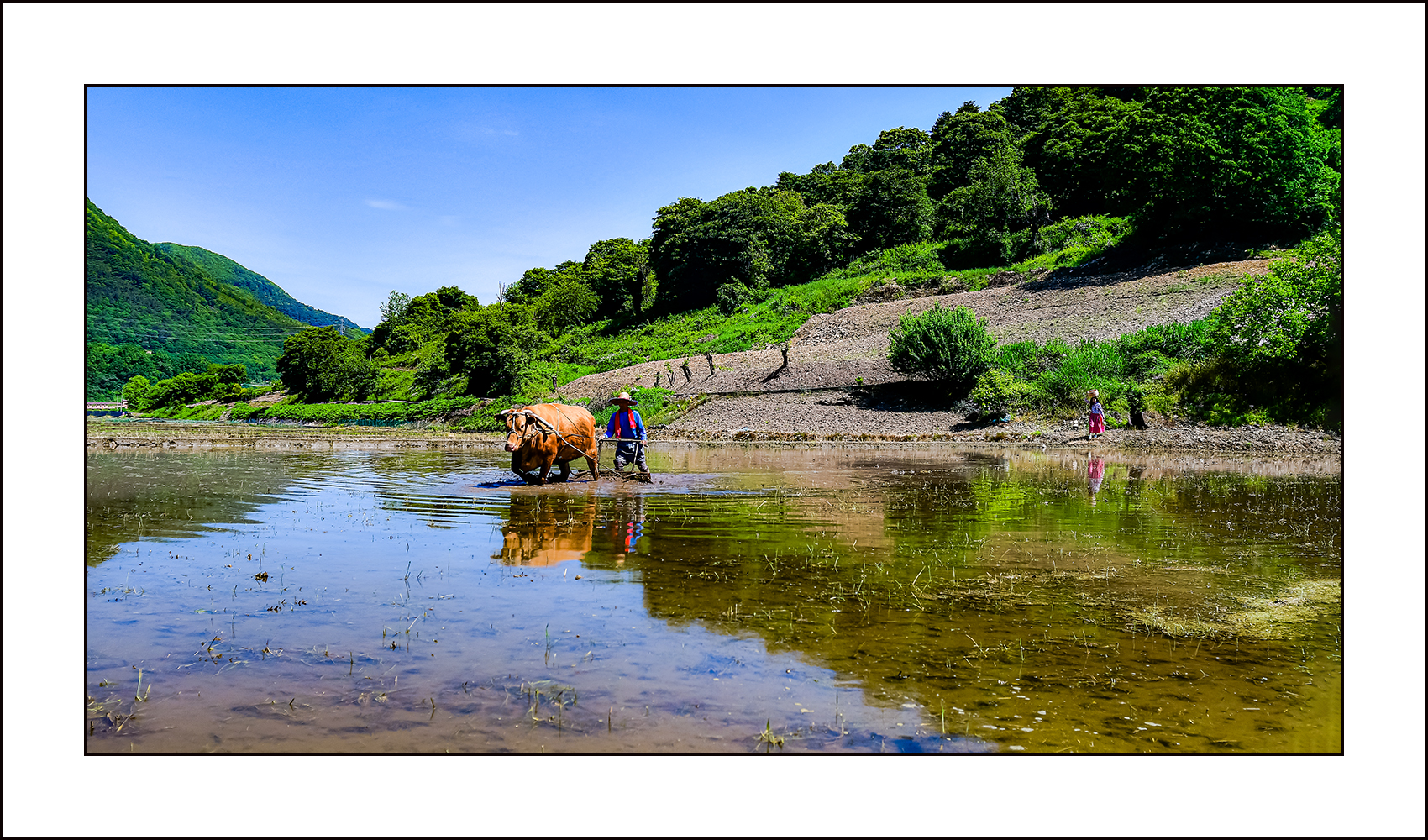   | PHOTO BY : 삿갓/정봉식  |