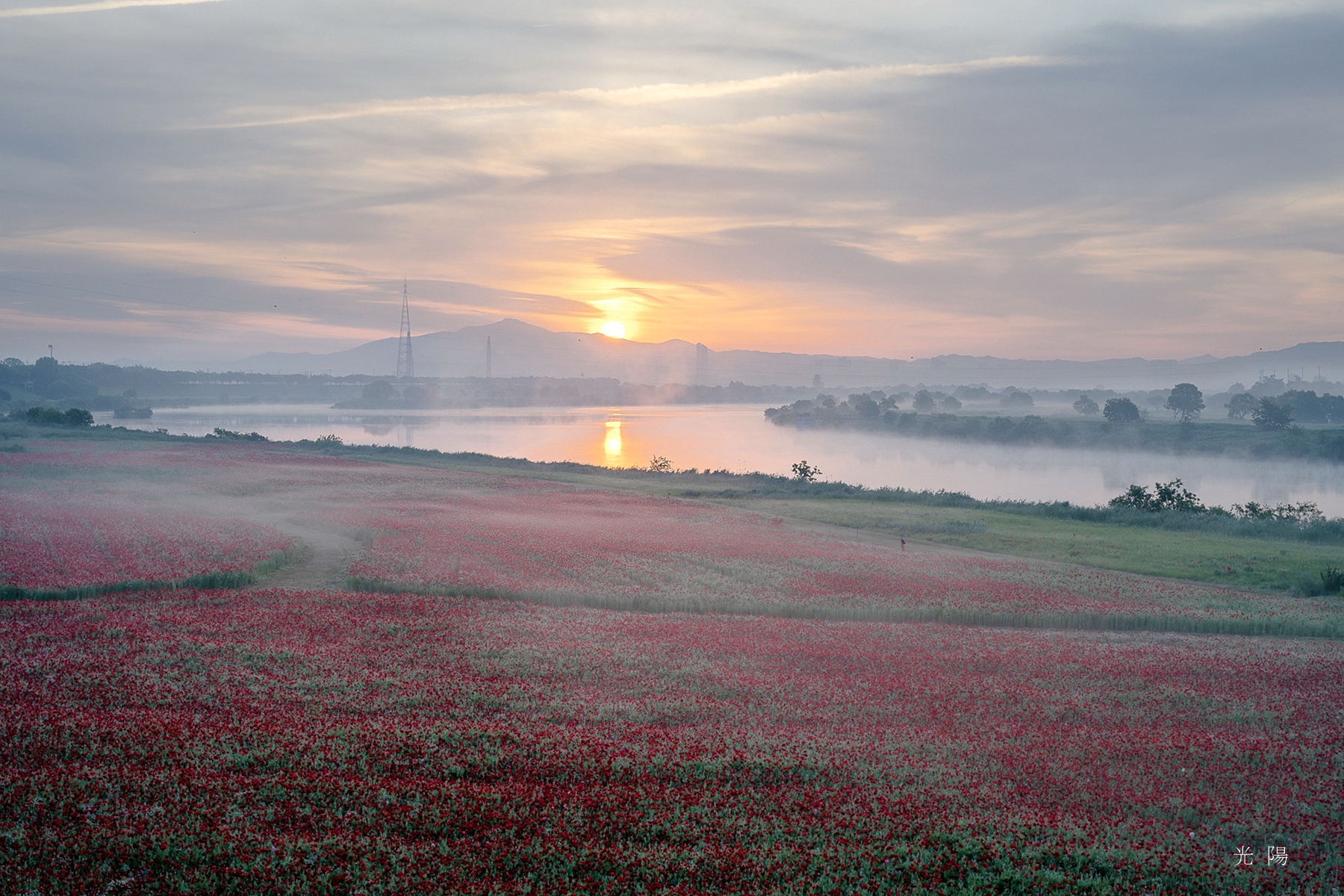 PHOTO BY  | NIKON Z 7_2 | 2024:05:17 05:39:31 | ISO-64 | 4/100 sec | f 9 | 45 mm | EV=0 | ● WIDTH:1600 pixels  HEIGHT:1067 pixels