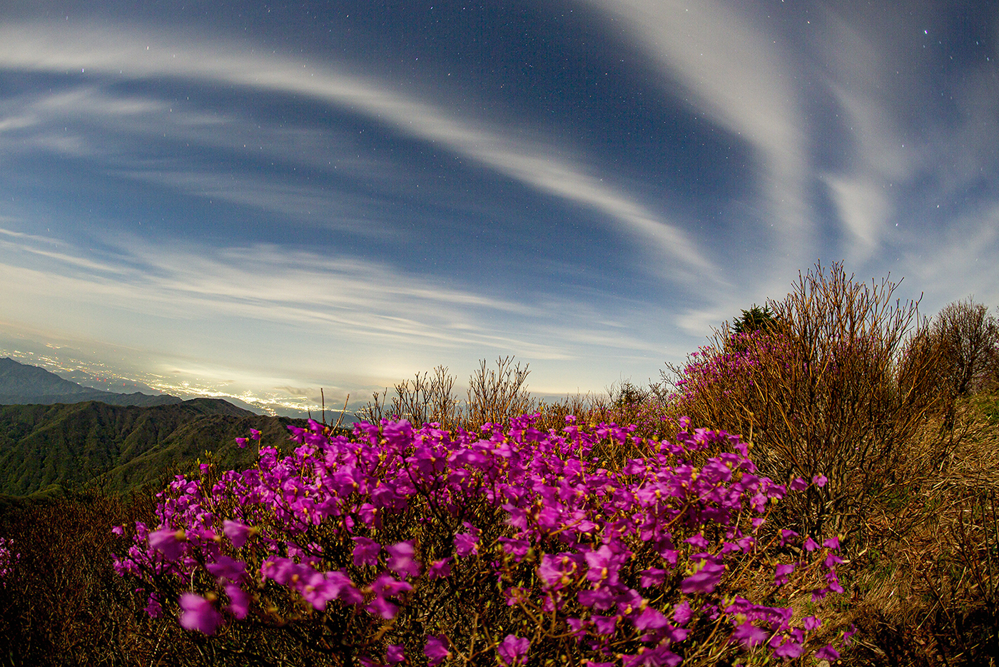 PHOTO BY MINKYUKIM | Canon EOS 5D Mark III | 2024:04:23 00:21:26 | ISO-200 | 92/1 sec |  |  | EV=0 | ● WIDTH:1400 pixels  HEIGHT:934 pixels