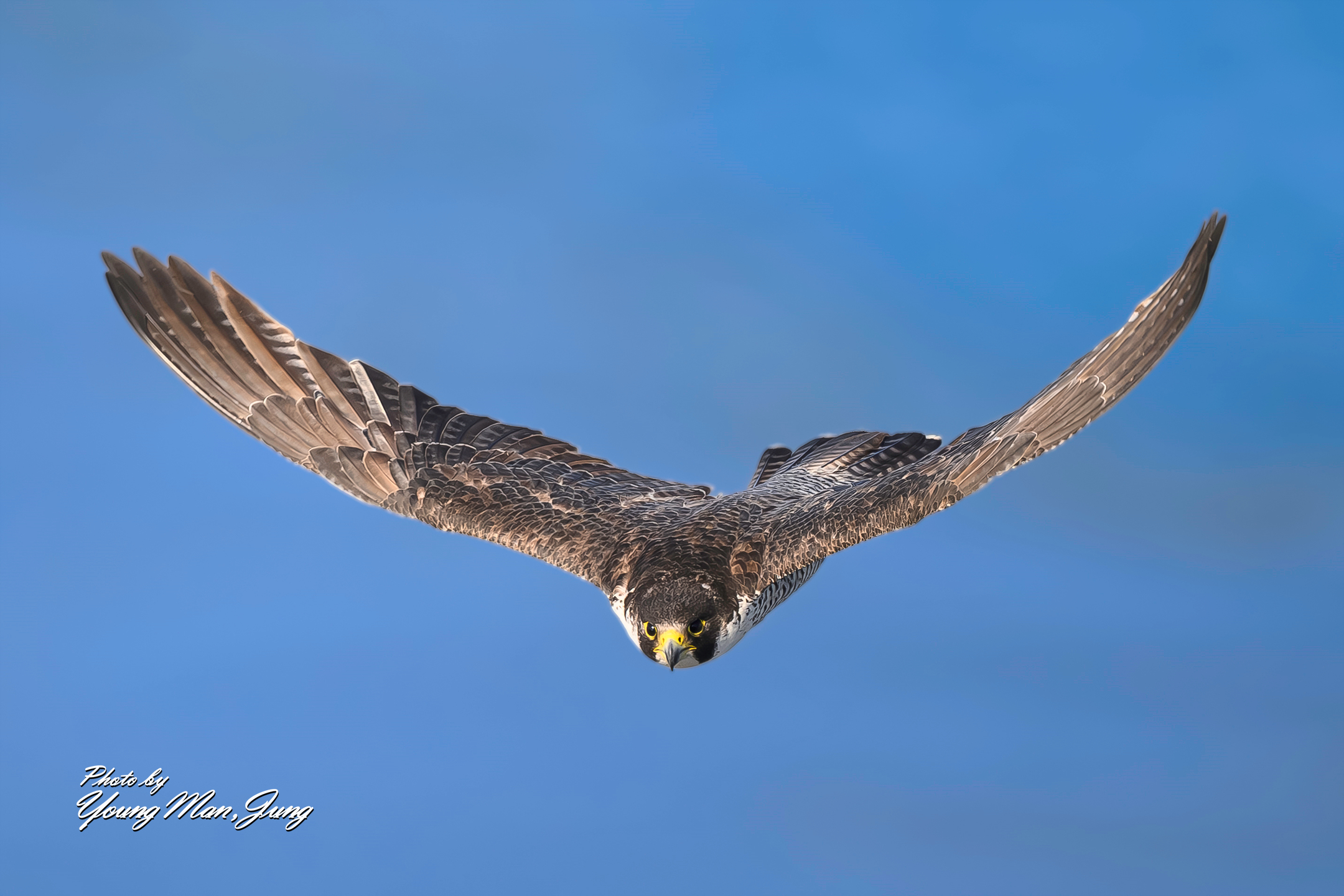   | PHOTO BY : 카파/정영만  |