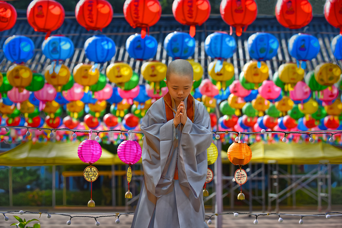   | PHOTO BY : Zenith珍/이진수  |