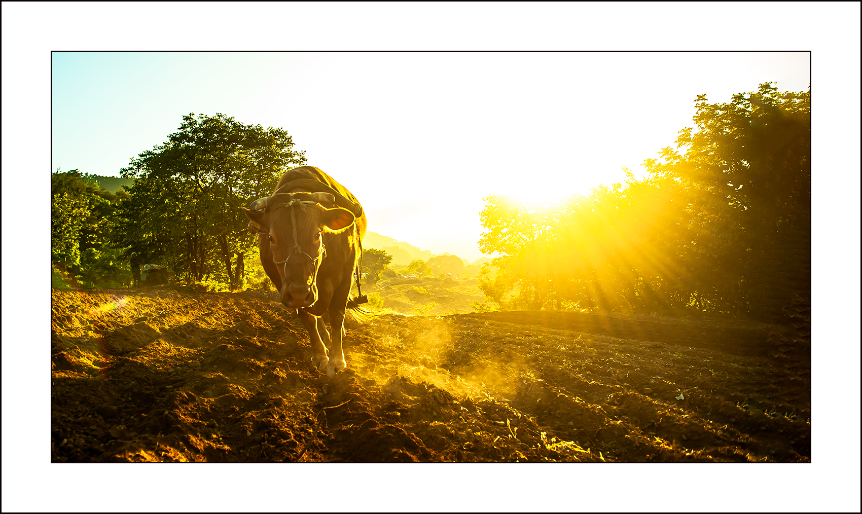   | PHOTO BY : 삿갓/정봉식  |