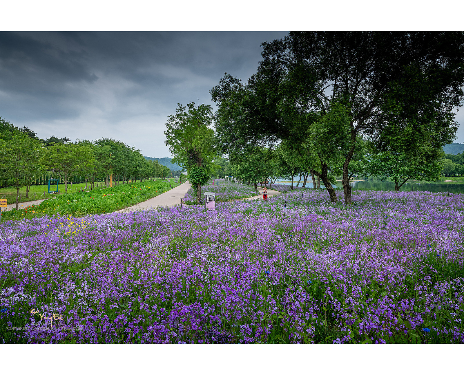 PHOTO BY  | GFX50S II | 2024:05:19 16:39:35 | ISO-250 | 1/25 sec | f 16 | 23 mm | EV=0 | ● WIDTH:1600 pixels  HEIGHT:1295 pixels